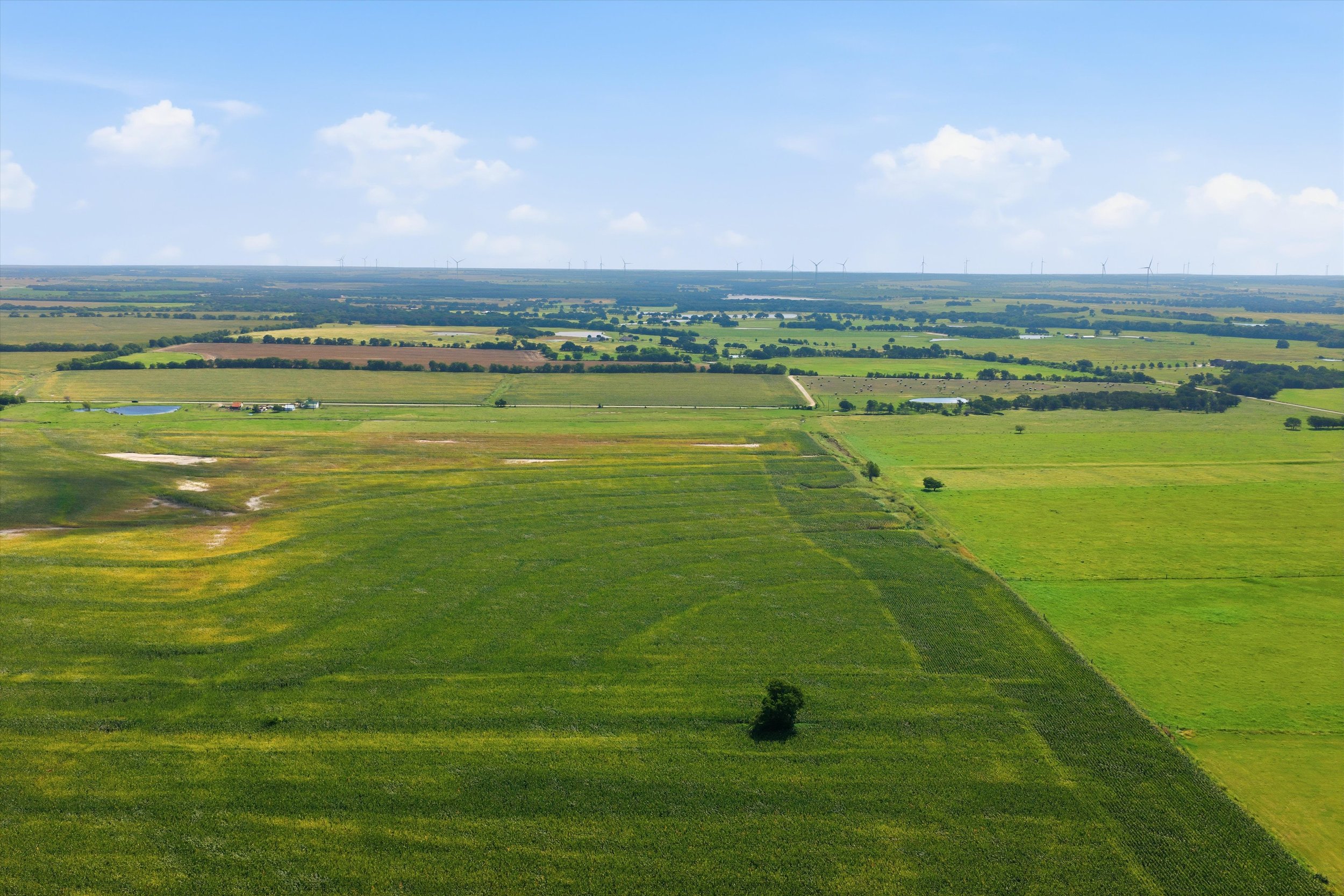23-DJI_20260625101434_0963_D.jpg