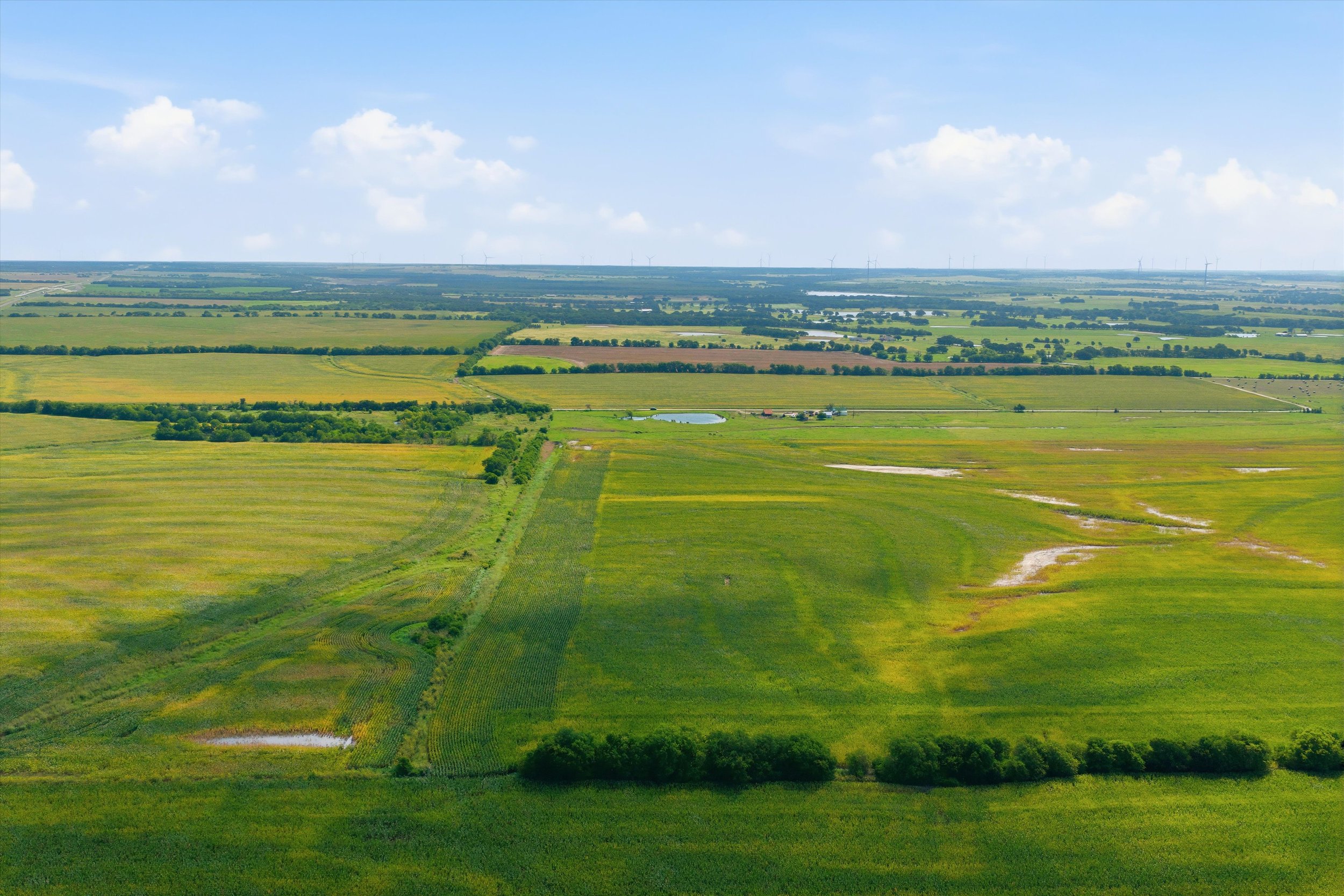 20-DJI_20260625101329_0960_D.jpg