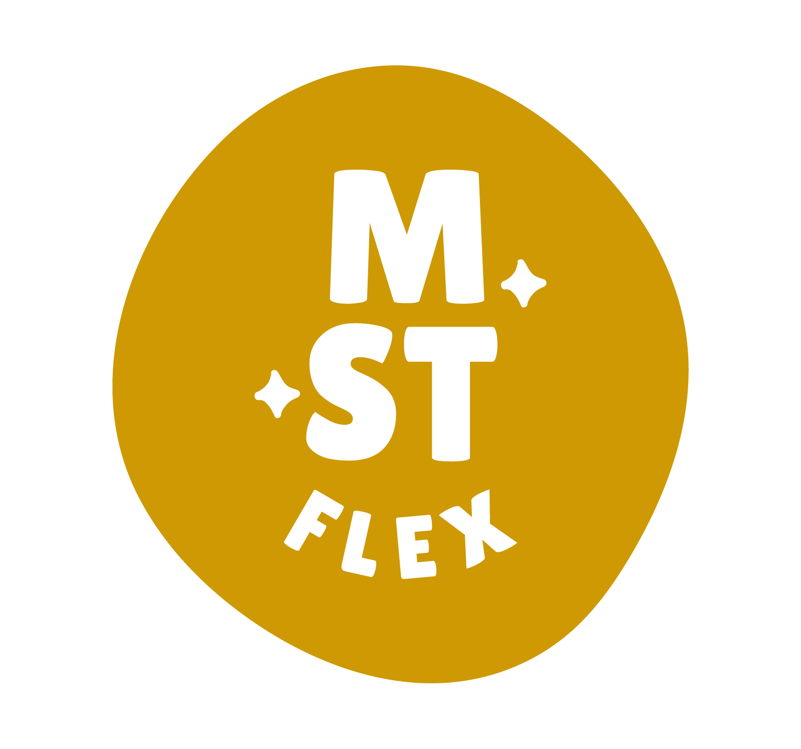 Gold circular emblem with the words "MST FLEX".