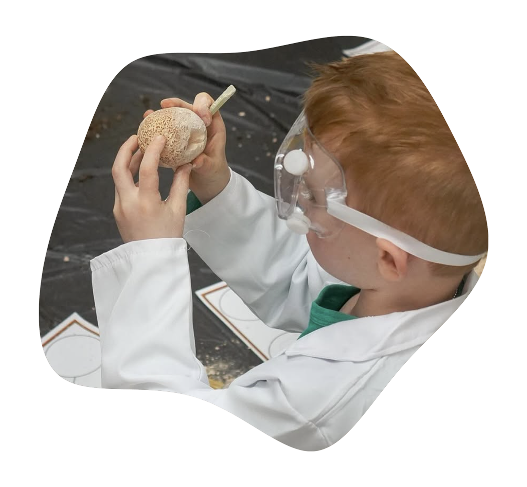 A young boy wearing safety goggles and a white lab coat holds a small pumpkin with a spoon in a science or pumpkin lab setting.