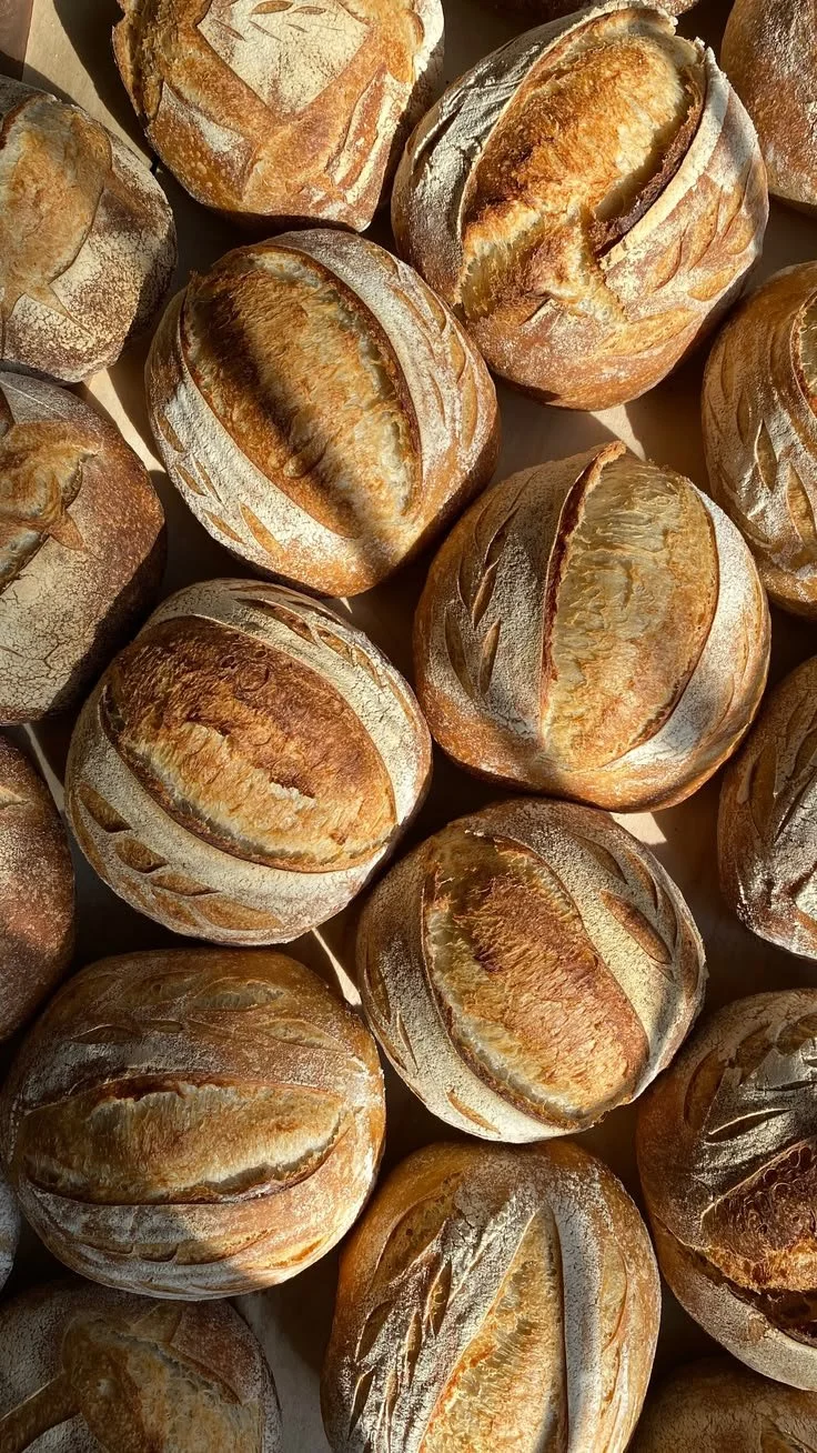 A close-up of several freshly baked round sourdough bread loaves with scored crusts and dusted with flour.