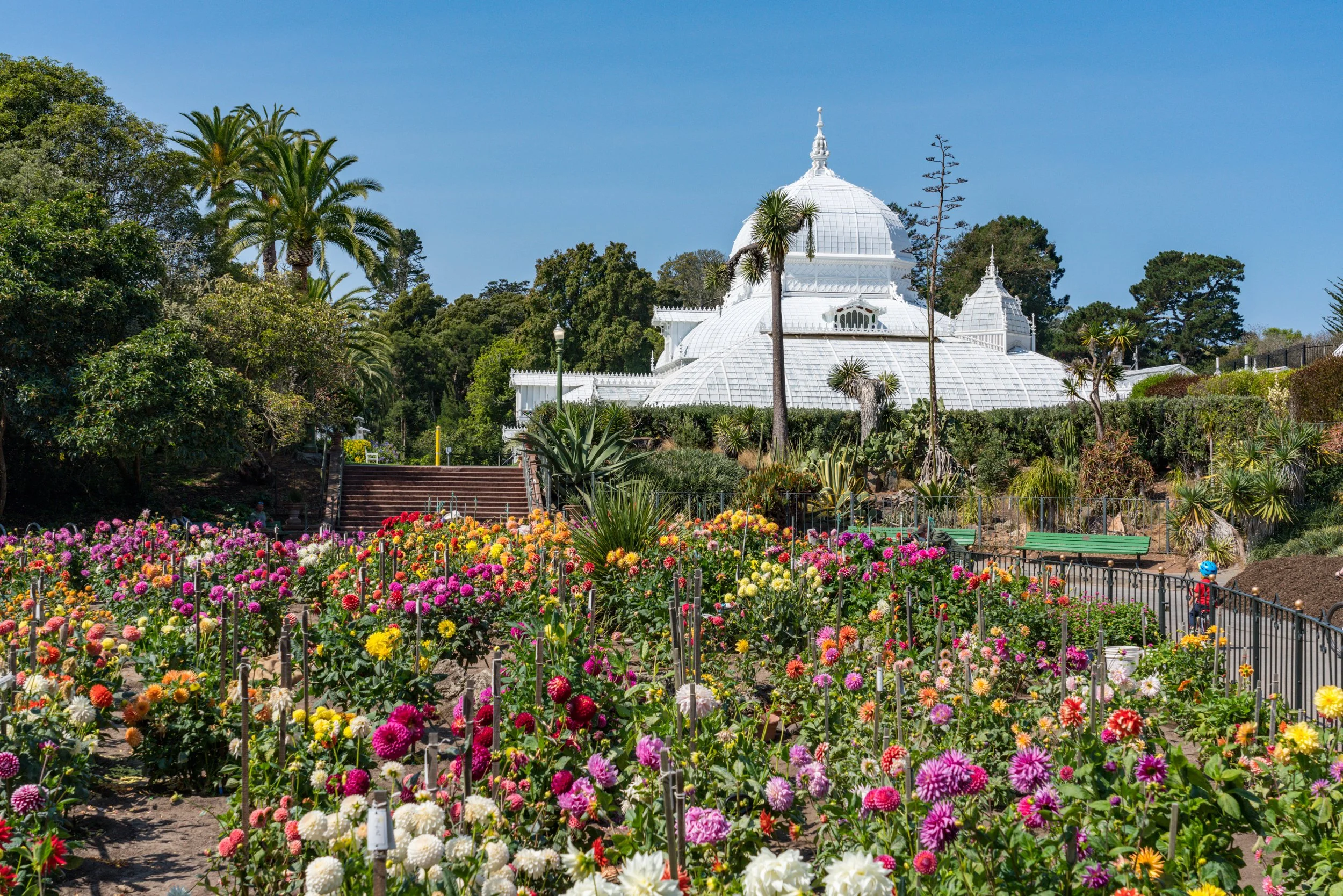 A white greenhouse with domed and pointed roofs is set behind a colorful flower garden filled with pink, purple, white, yellow, and orange flowers. Tall trees and palm trees surround the greenhouse under a clear blue sky.