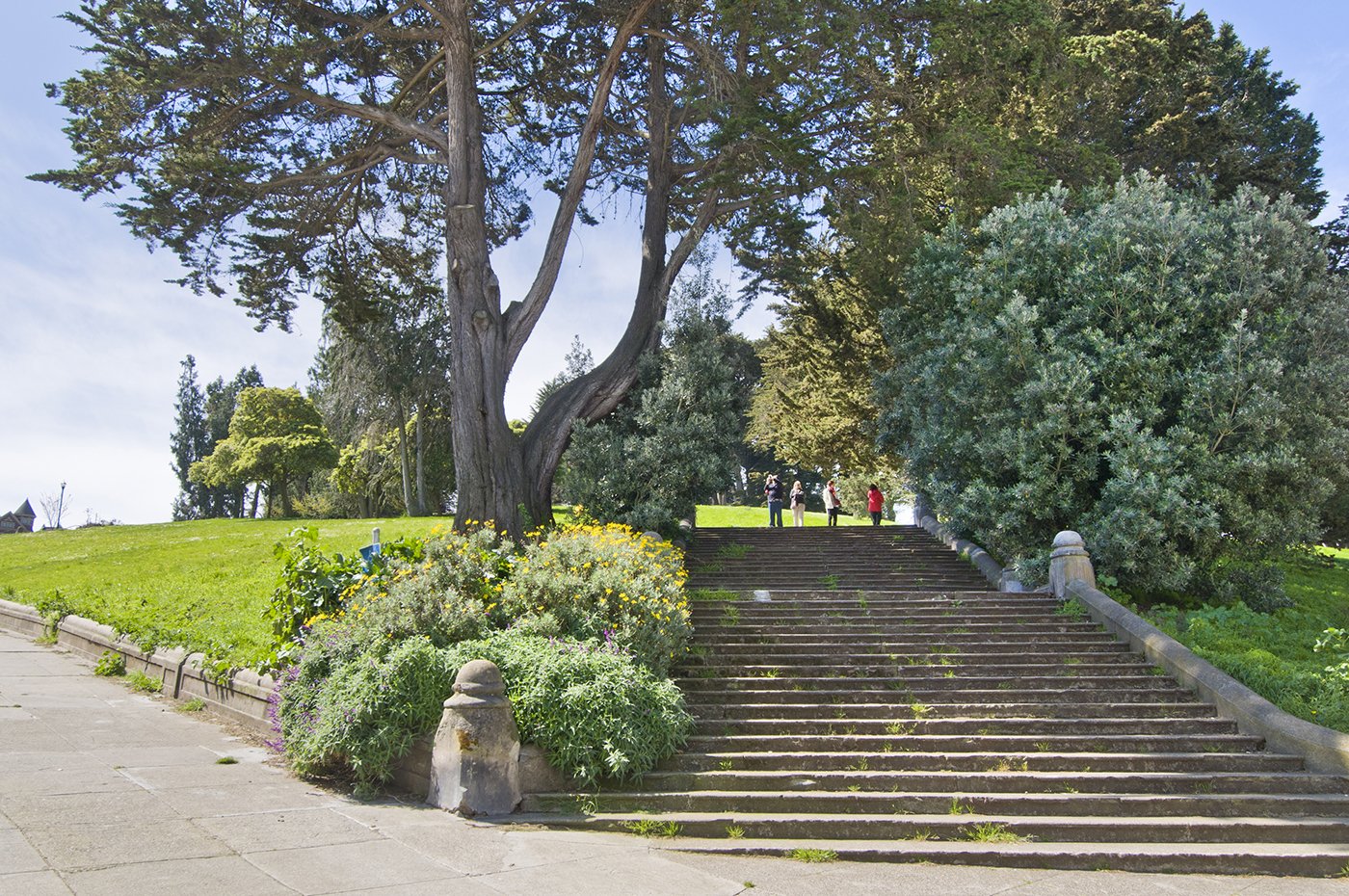 Outdoor park scene with stone steps leading up a grassy hill, large trees, and bushes; a group of five people standing at the top of the stairs.