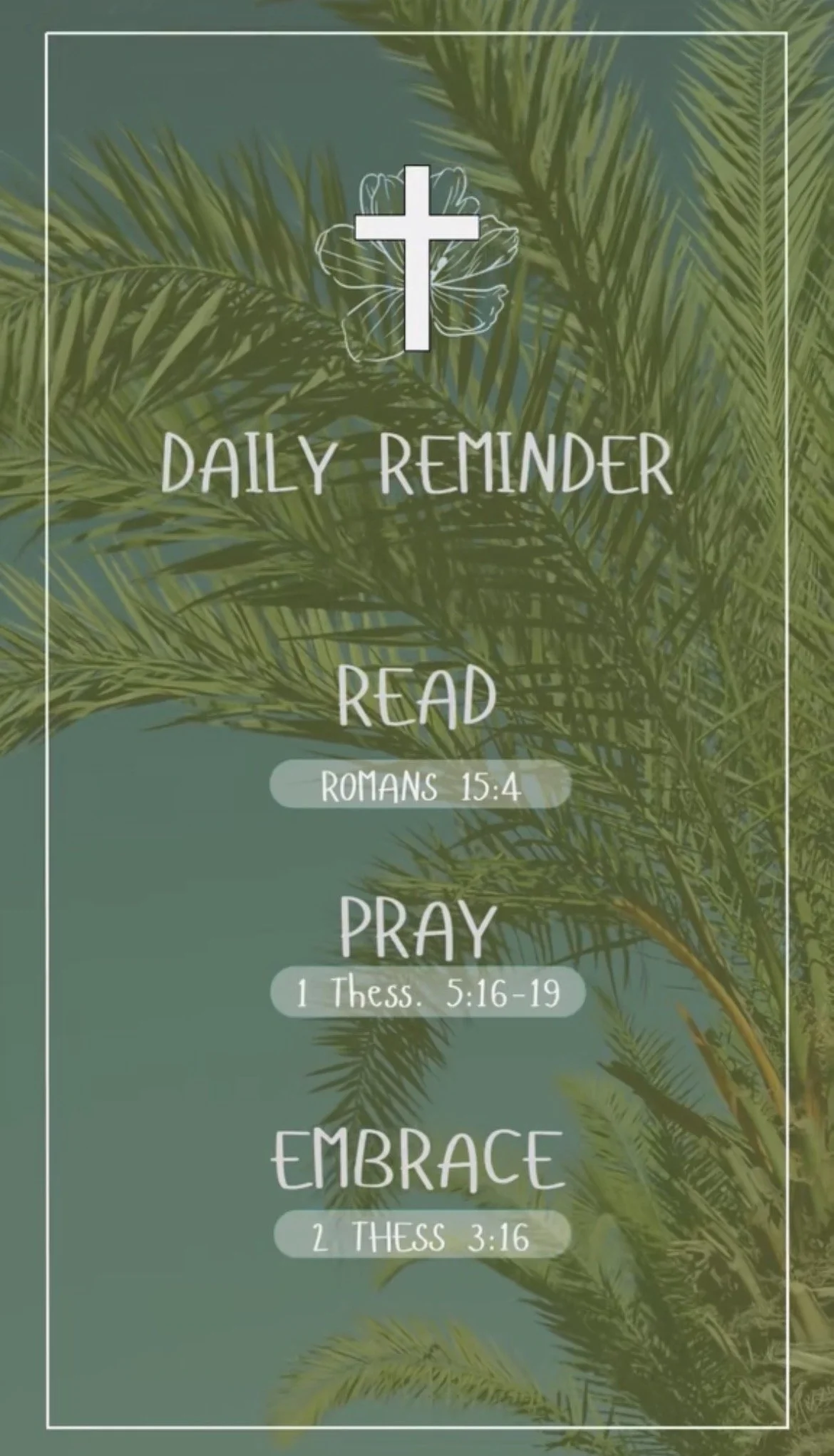 A Bible verse reminder on a background of green palm leaves, with a white cross and flower outline at the top. The text reads: "Daily Reminder," followed by "Read Romans 15:4," "Pray 1 Thess. 5:16-19," and "Embrace 2 Thess. 3:16."