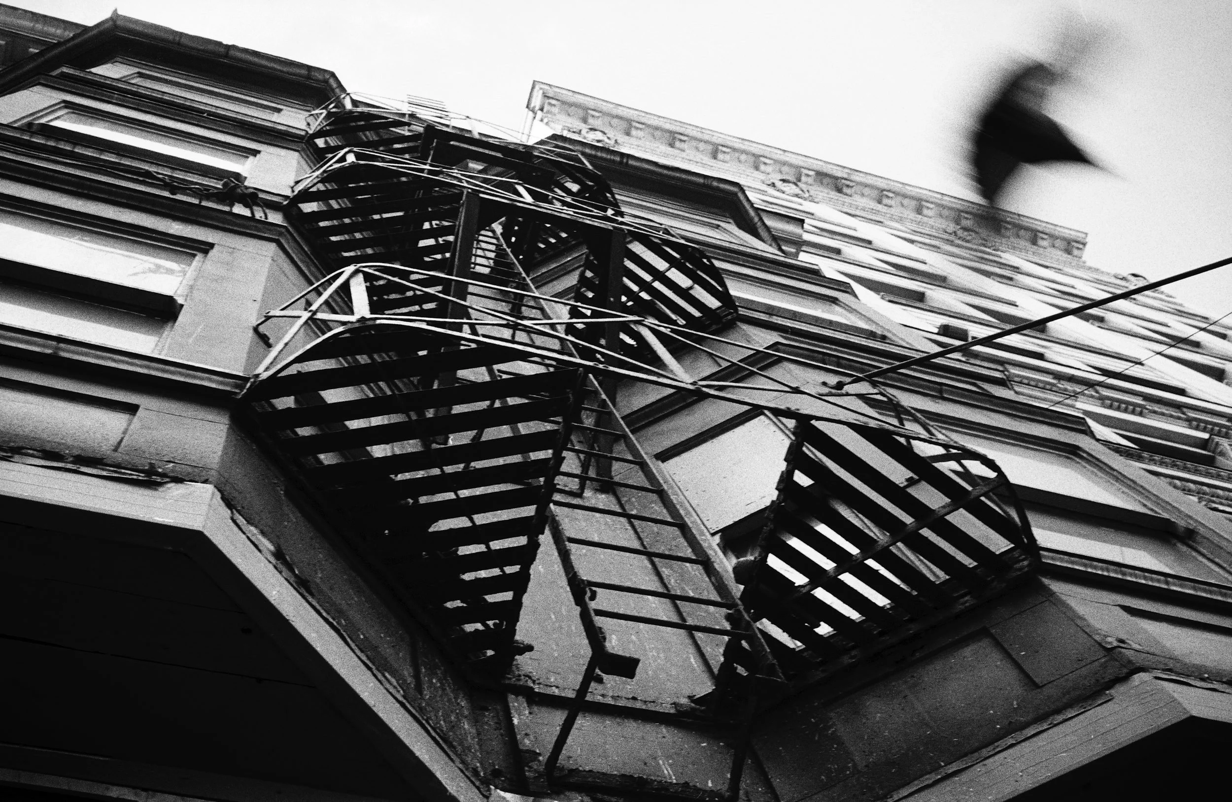 Black and white photograph of fire escapes on a weathered building facade, with a blurred bird in flight above.