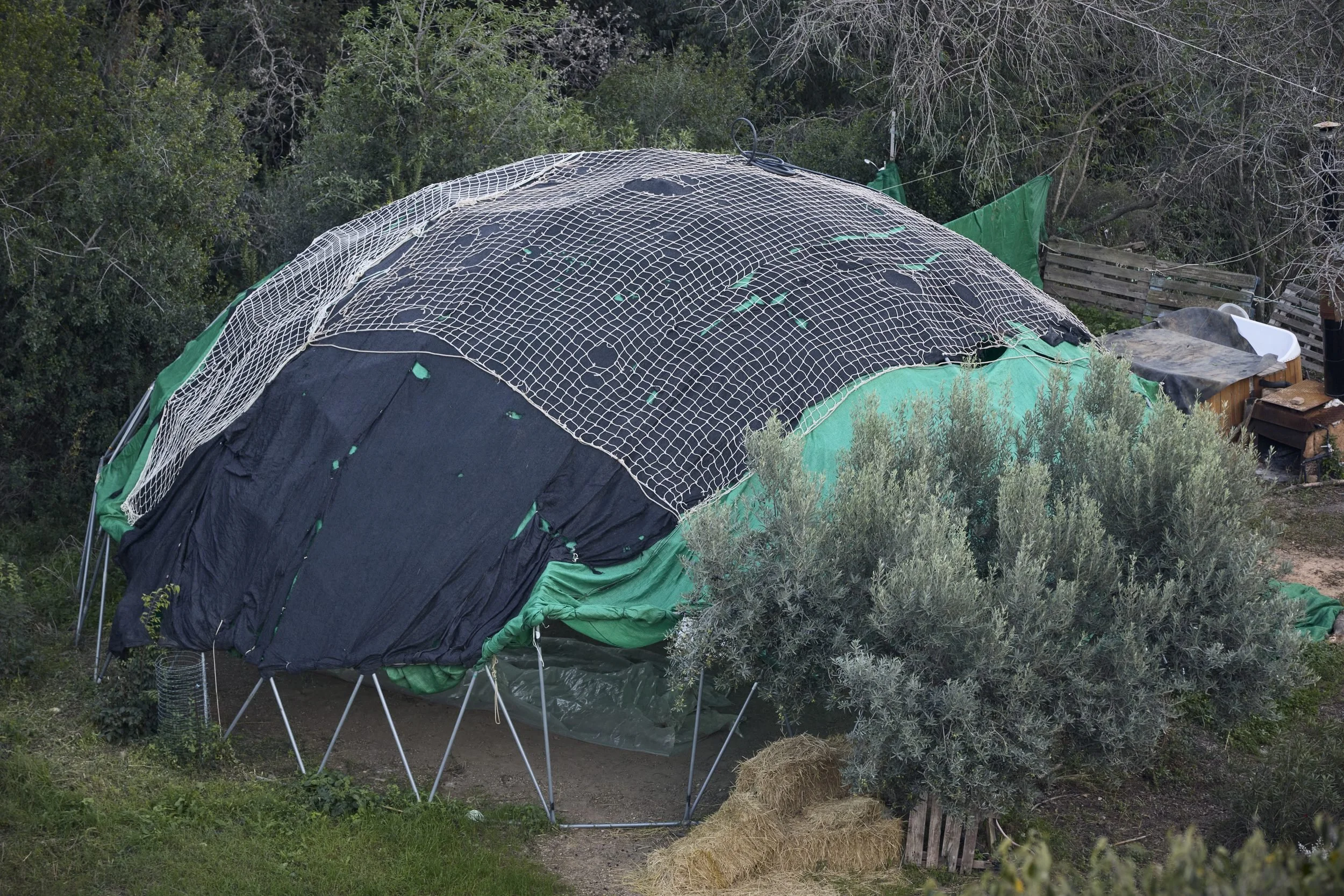 A green and black tent structure with mesh netting covers a trampoline in a wooded residential area.