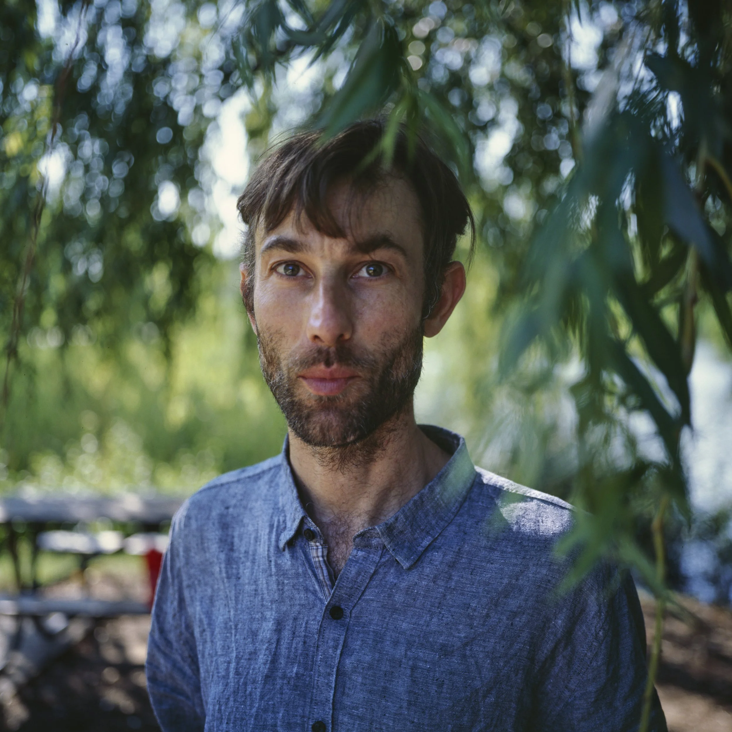 John Player at Parc Jarry, Montreal, Quebec, Mamiya 6 75mm. A Man looks at camera in the shade of a tree with shallow depth of field