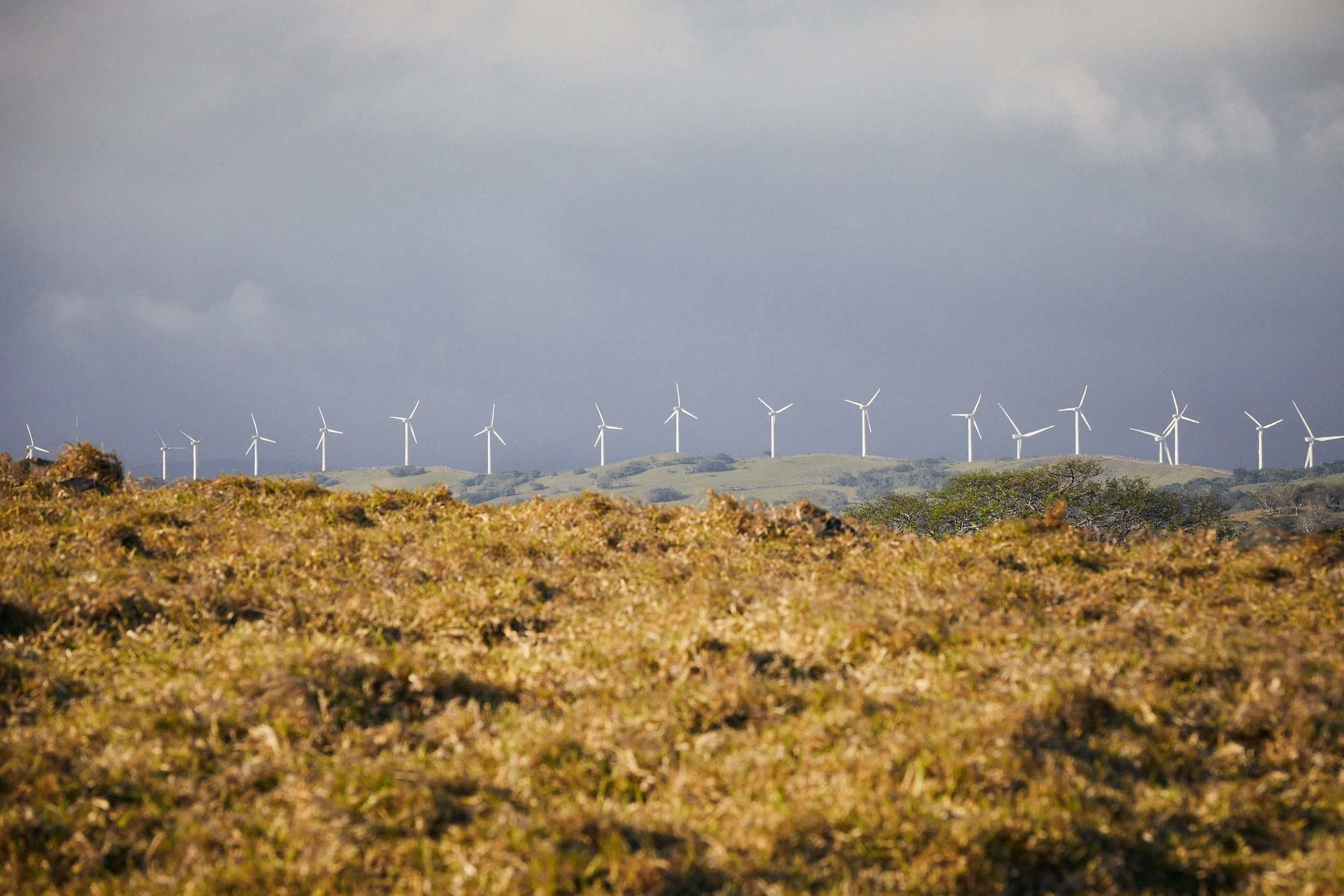 Wind turbines line the horizon beyond a harvested grain field under overcast skies.