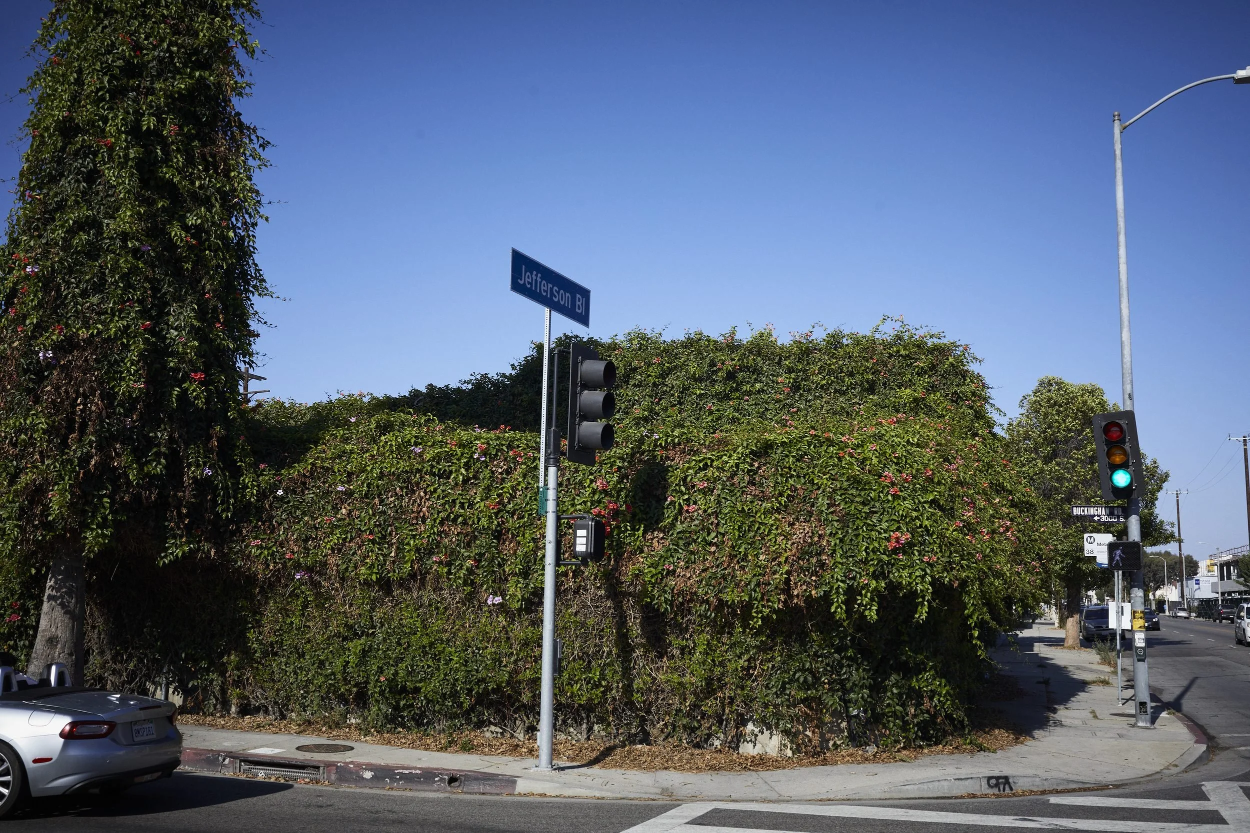 An ivy-covered building at the intersection of Jefferson Boulevard and another street, with traffic lights and street signs visible.