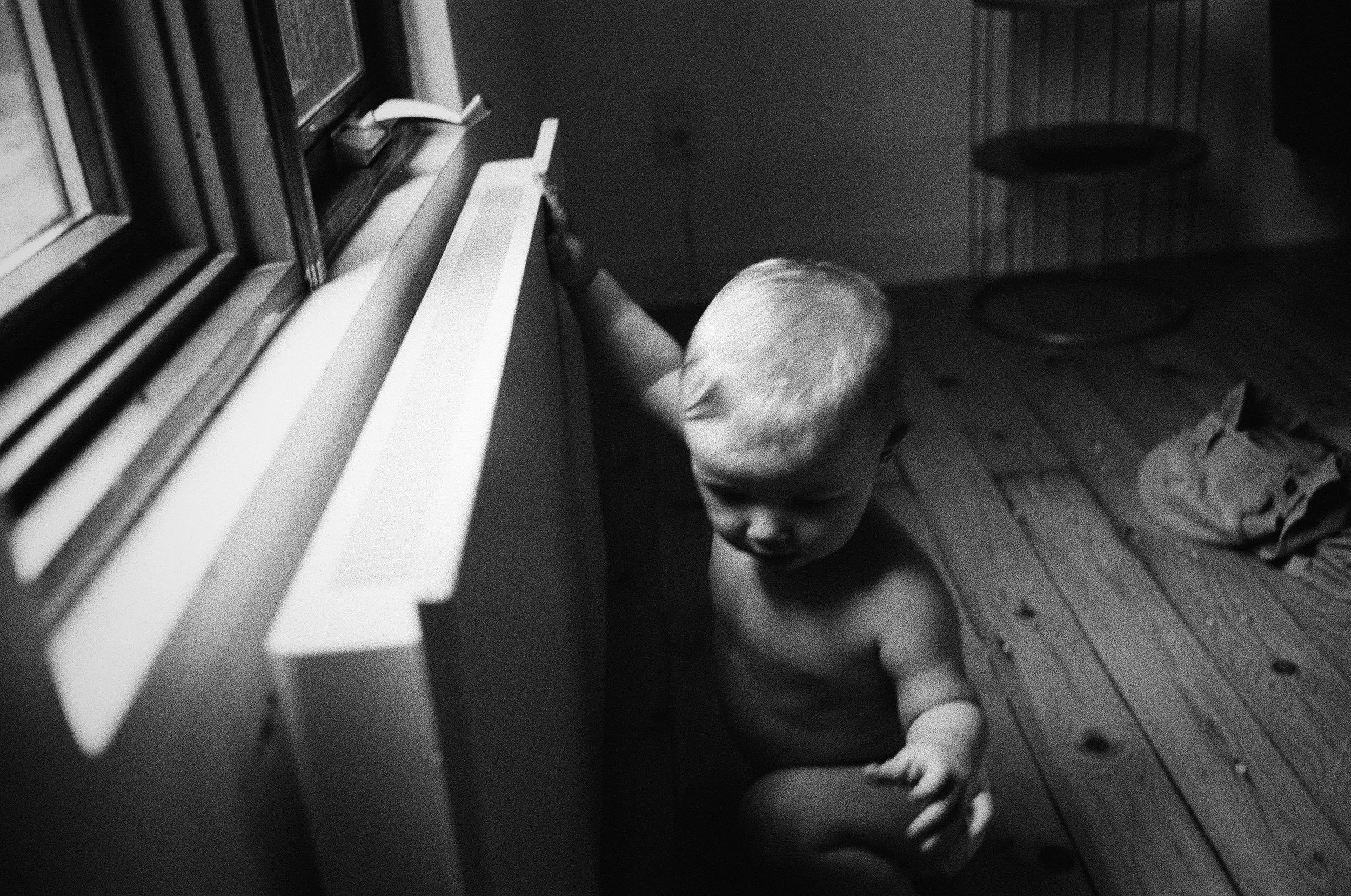 Toddler reaching toward a sunlit window while sitting on a wooden floor.