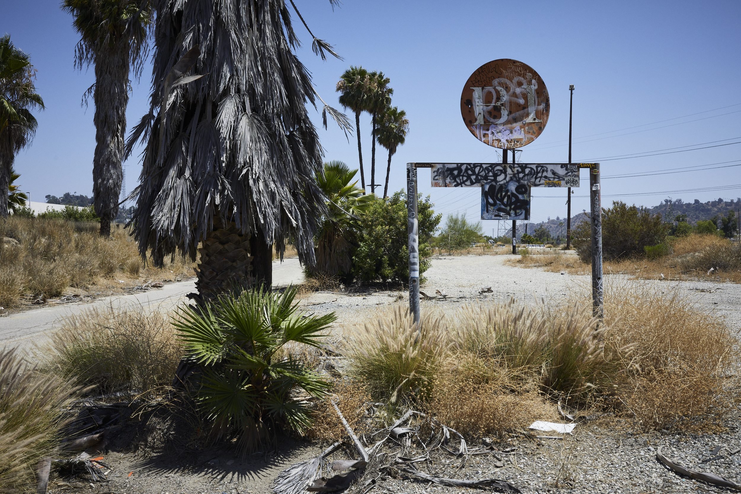 Abandoned roadside structure with rusted circular sign surrounded by palm trees and dry grasses under clear sky.