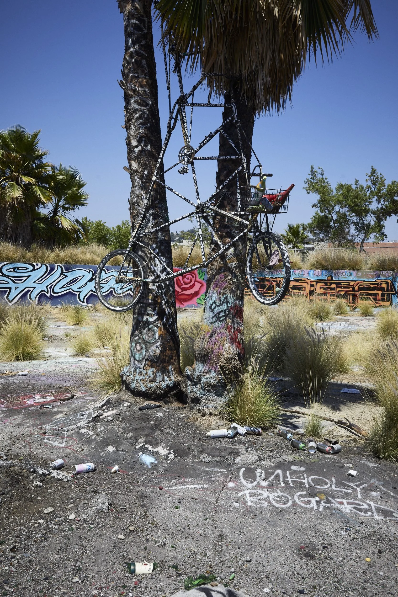 A bicycle hangs from a palm tree trunk covered in graffiti in an arid landscape.