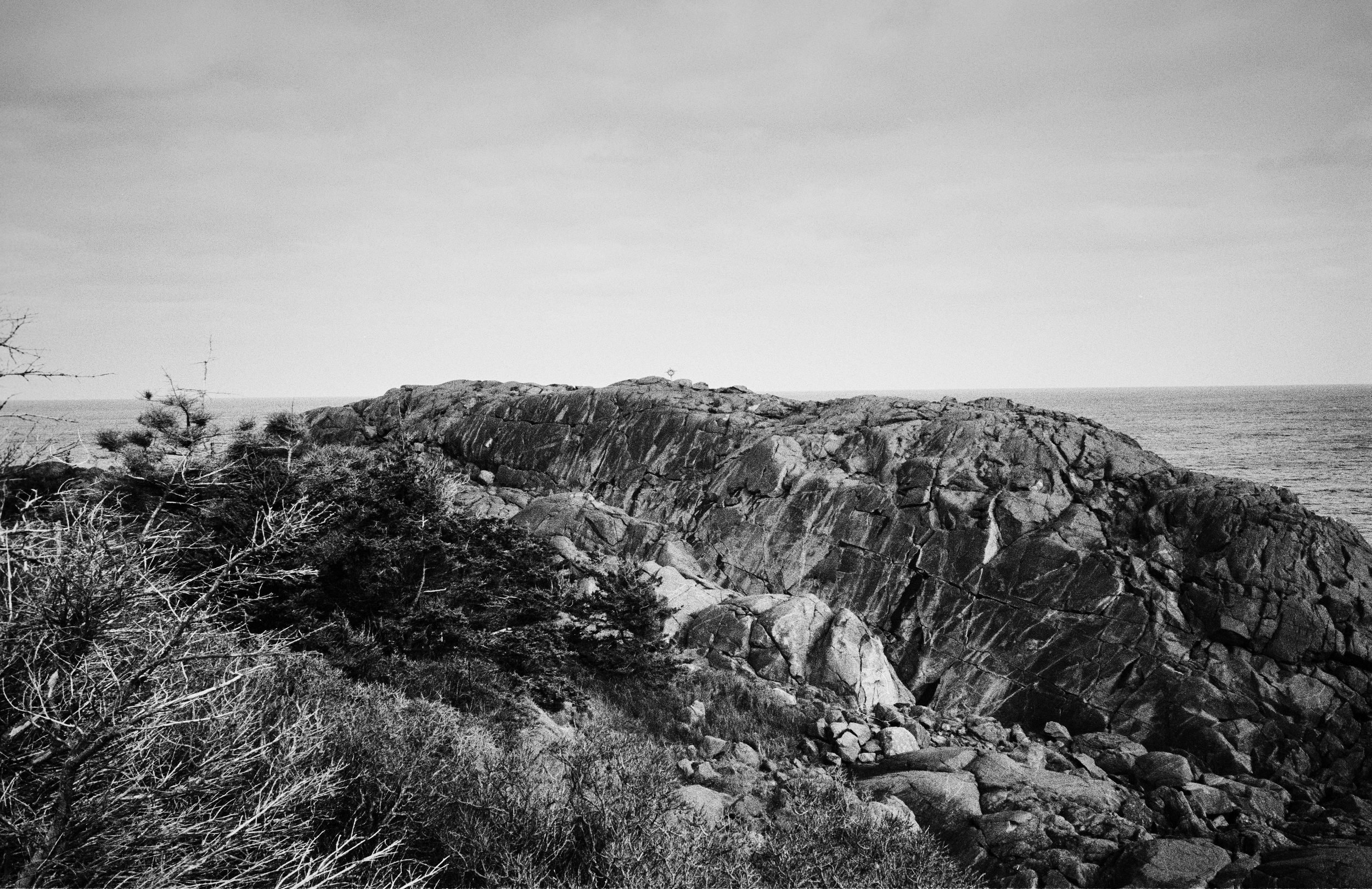 Rocky coastal headland with sparse vegetation overlooking the ocean under an overcast sky.