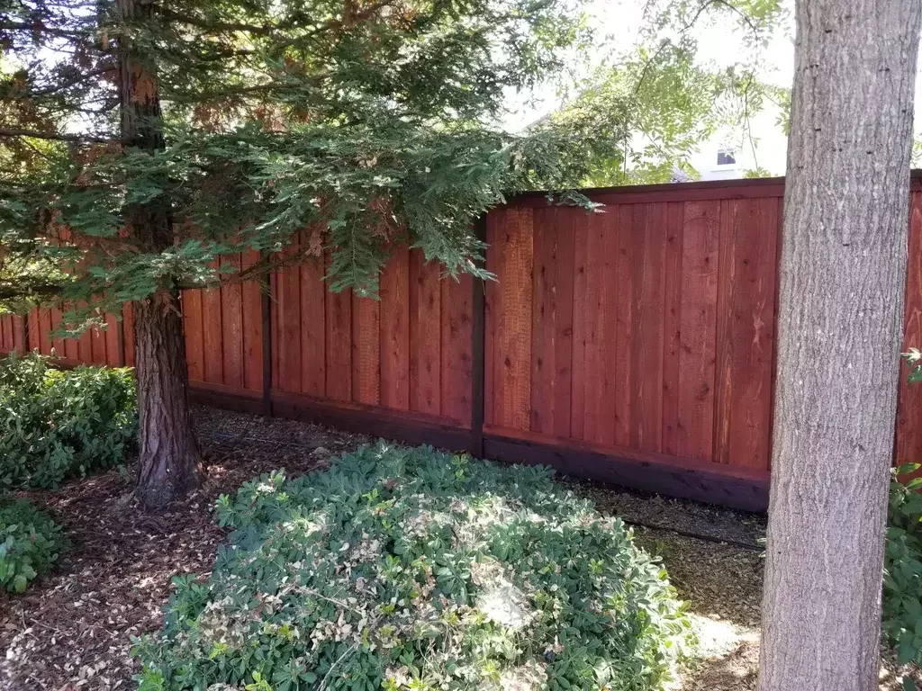 Wooden privacy fence with trees and shrubbery in a backyard.