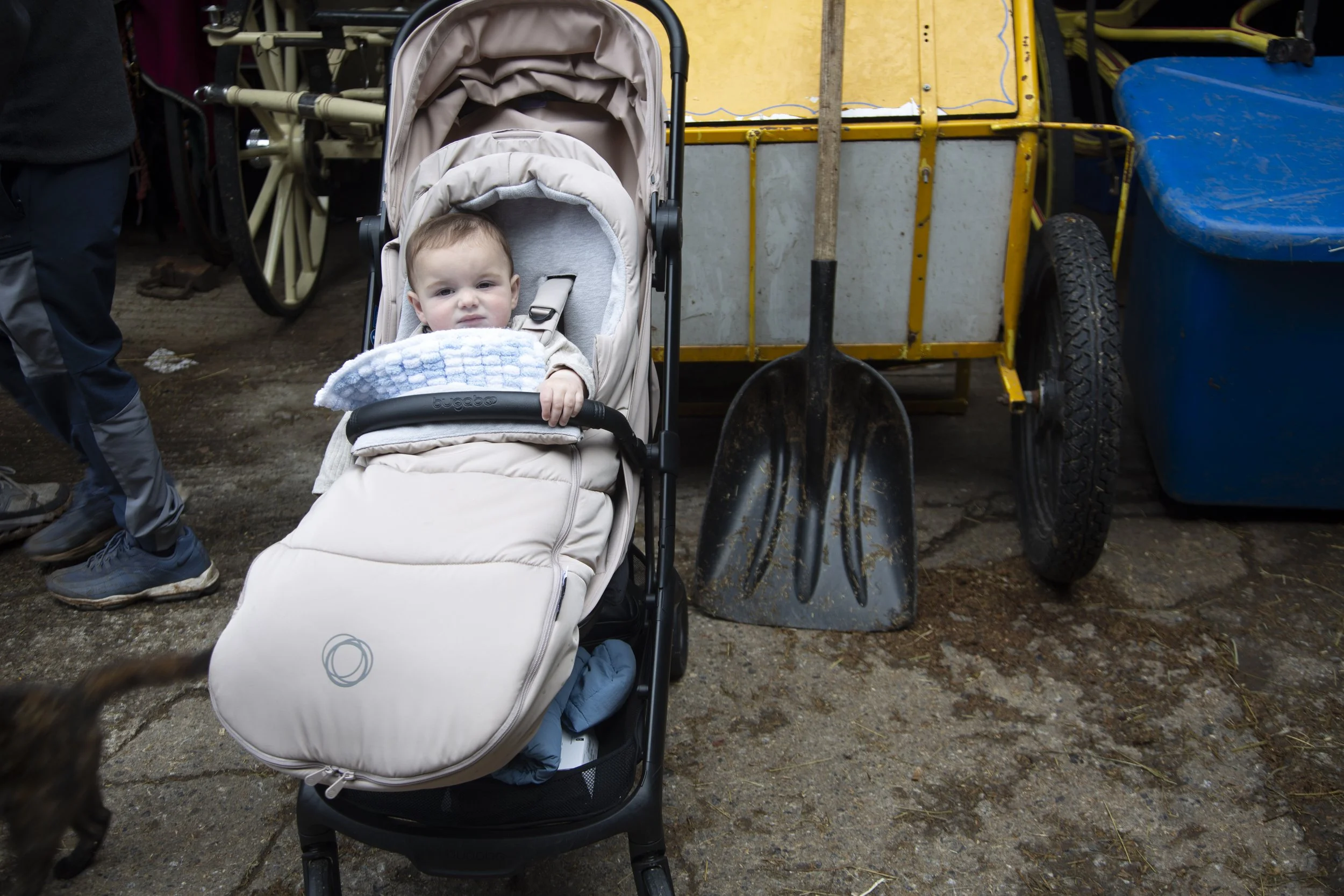 Tommy O'Dwyer sits in his stroller in the family stables in Spitalfields, Dublin, Ireland, while the O'Dwyers clean on Monday, May 18, 2026. The O'Dwyers clean the horse stables every Monday morning.