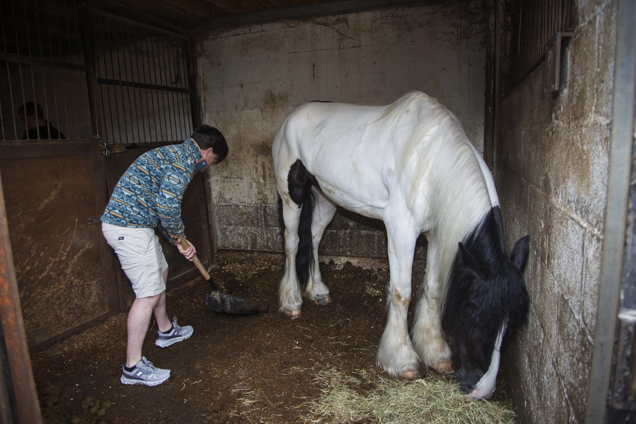 Trevor O'Dwyer, son of Mark O'Dwyer, cleans a horses' stable in Spitalfields, Dublin, Ireland on Monday, May 18, 2026.