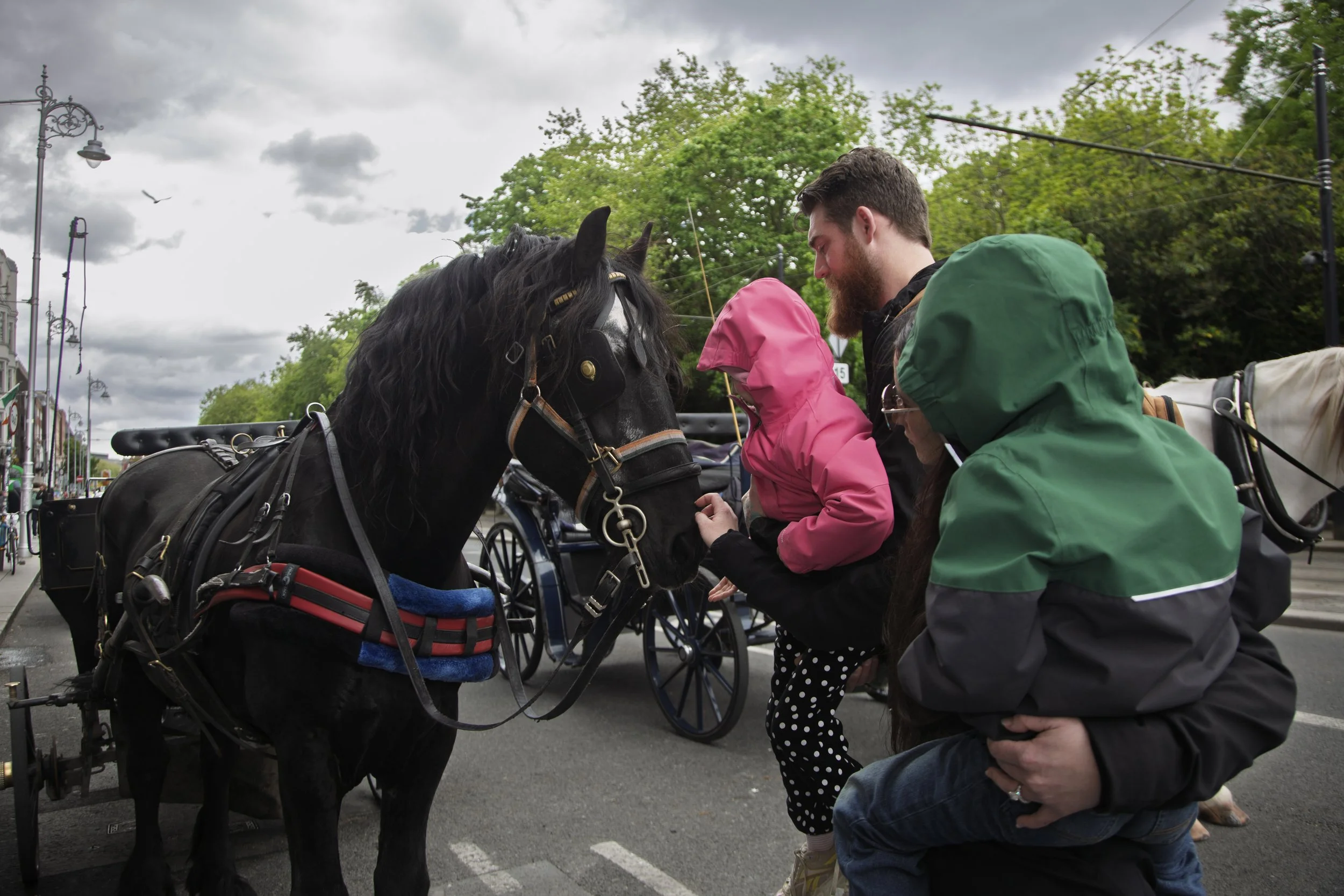 A family pets Patrick's horse in St. Stephen's Green, Dublin, Ireland on May 15, 2026.