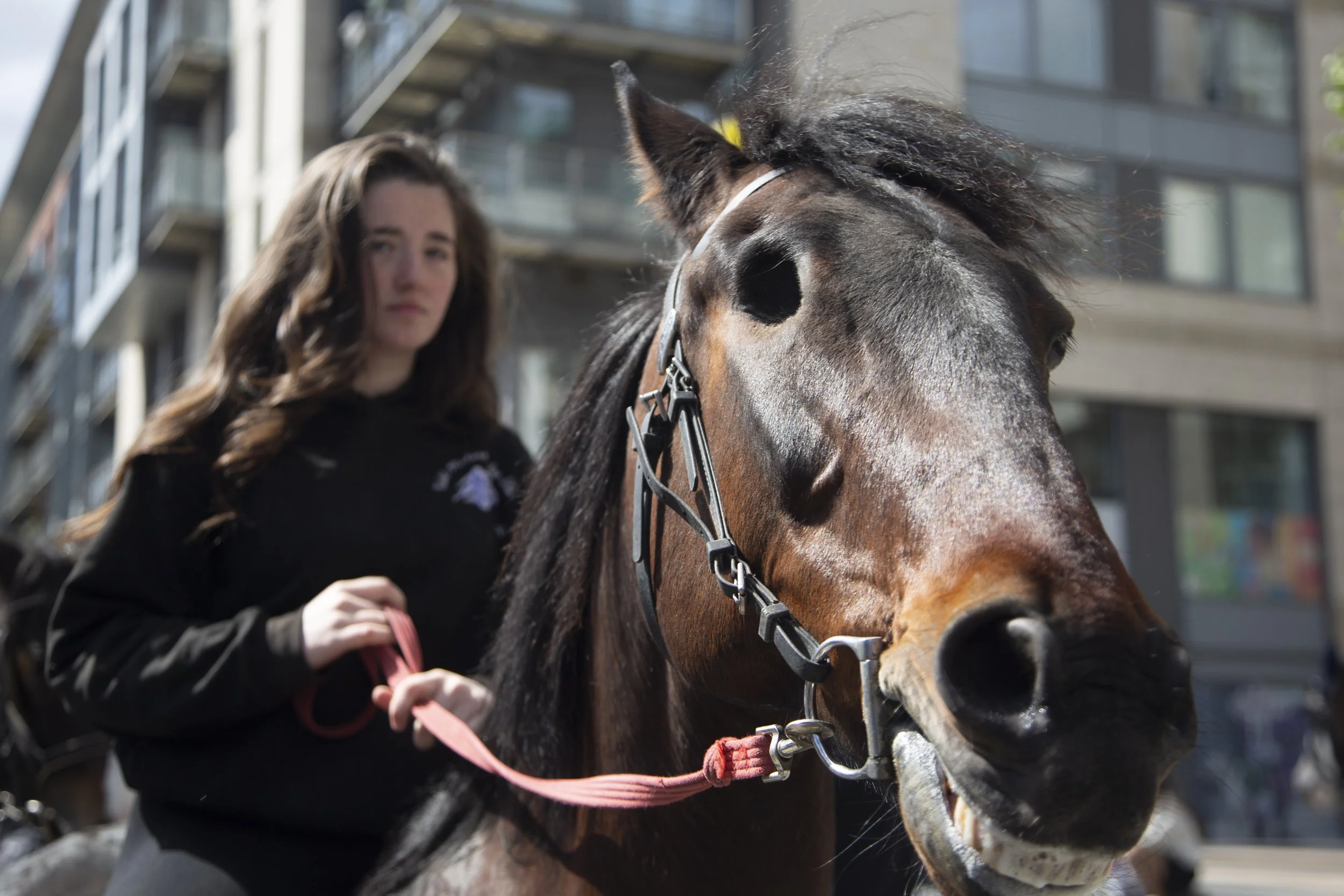 A woman rides her one-eyed horse at the  at the Smithfield Horse Fair in Dublin, Ireland on Sunday, May 10, 2026. The horse market features a variety of horses in attendance; some have been rehabilitated, some are used for farming purposes and others