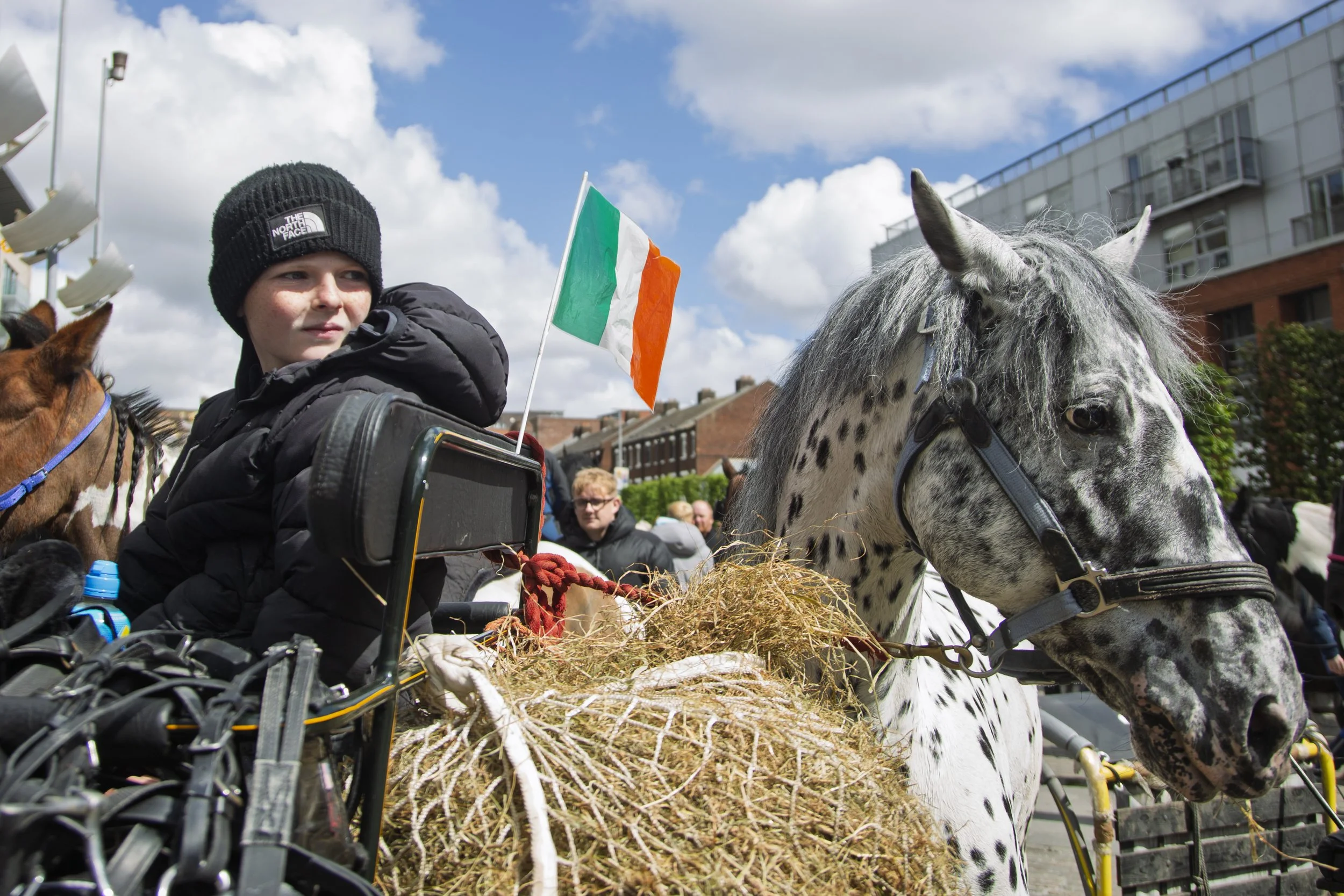 A boy and his horse look at another horse causing commotion the Smithfield Horse Fair in Dublin, Ireland on Sunday, May 10, 2026. The fair takes place on the first Monday of every month, and Dubliners of all ages and backgrounds get together with the