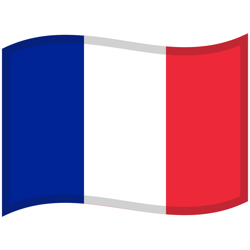 A stylized representation of the French flag with three vertical stripes: blue, white, and red.