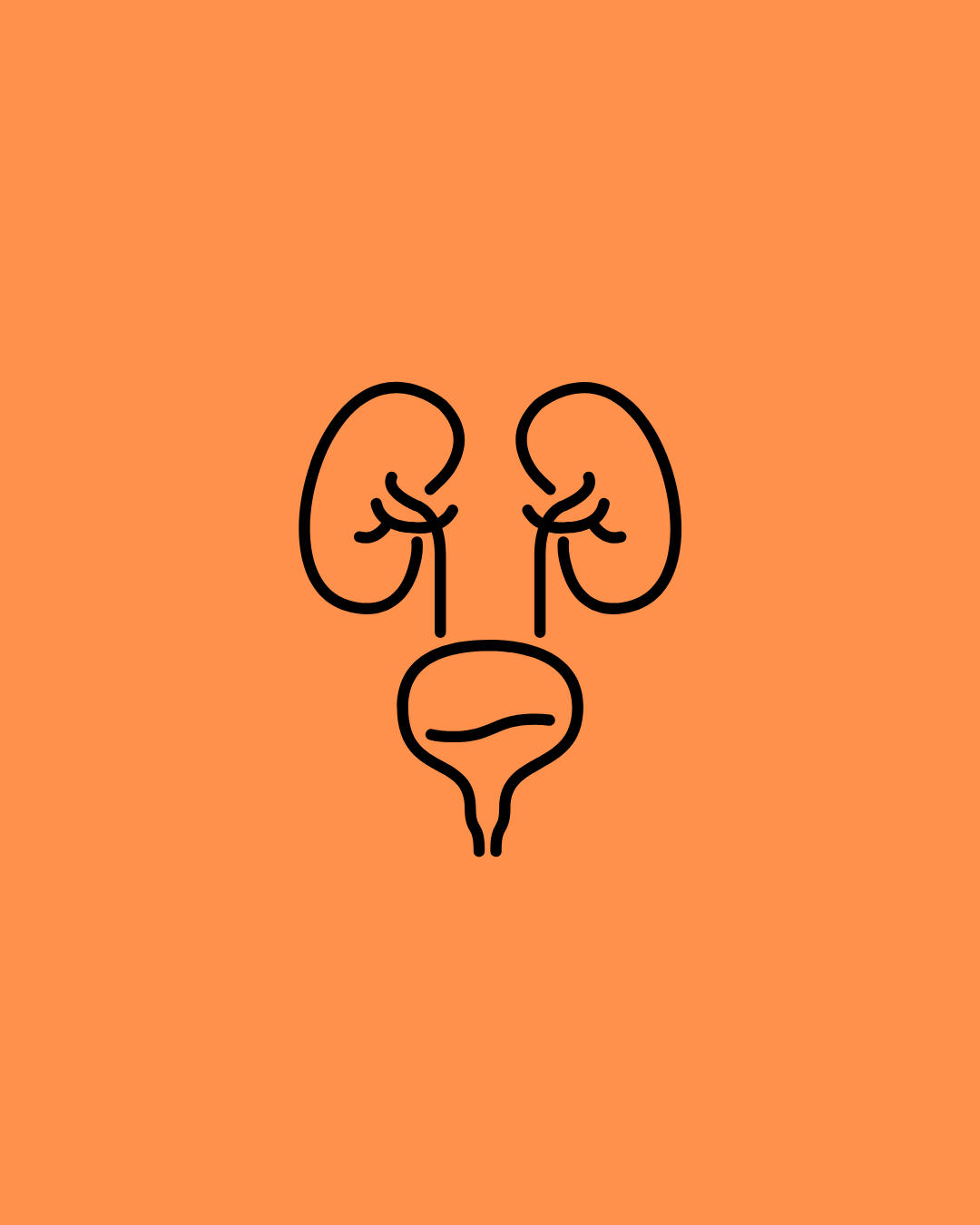 Bladder and Urinary Issues