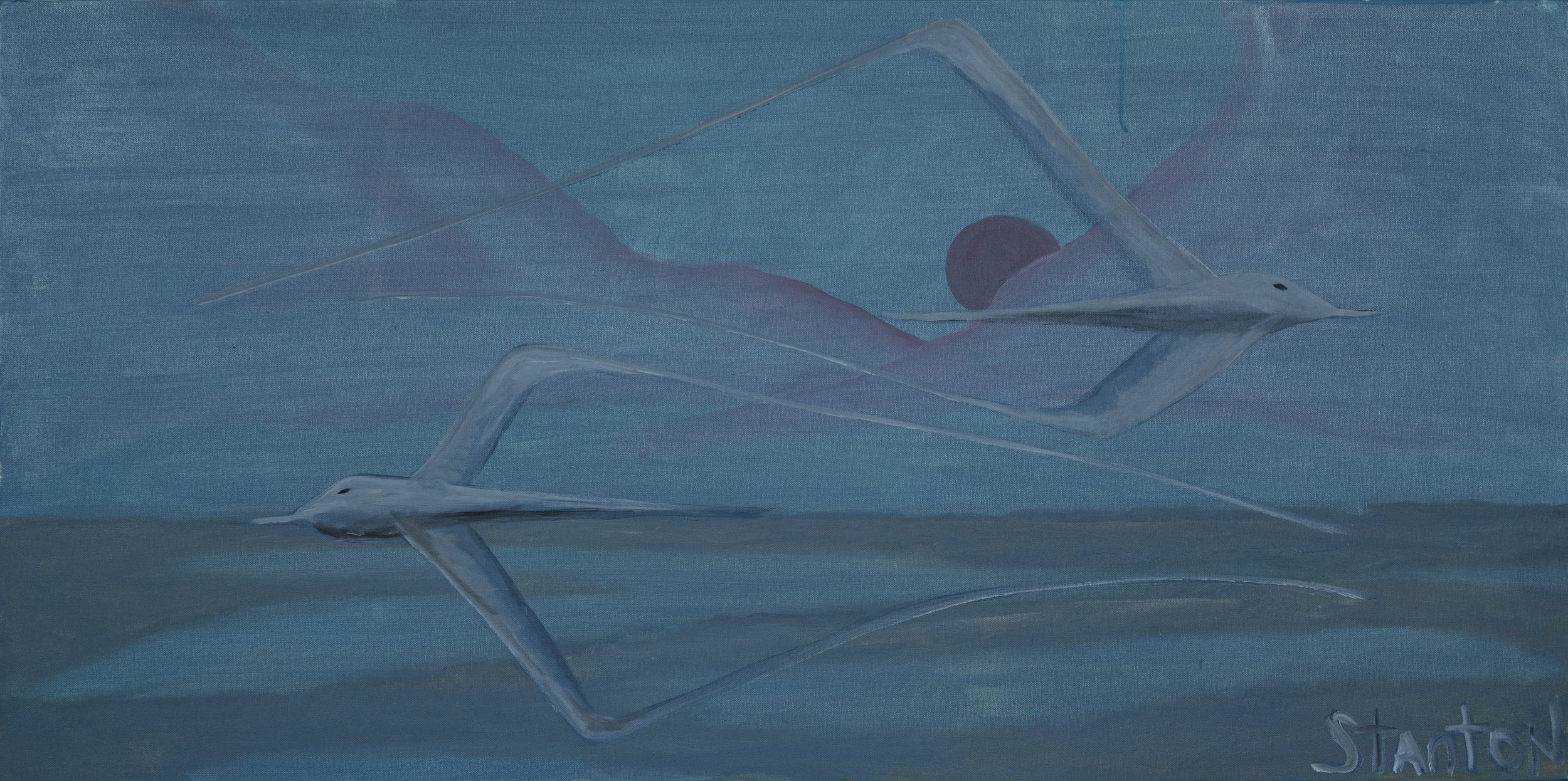 Night Flight - Fine Art Print