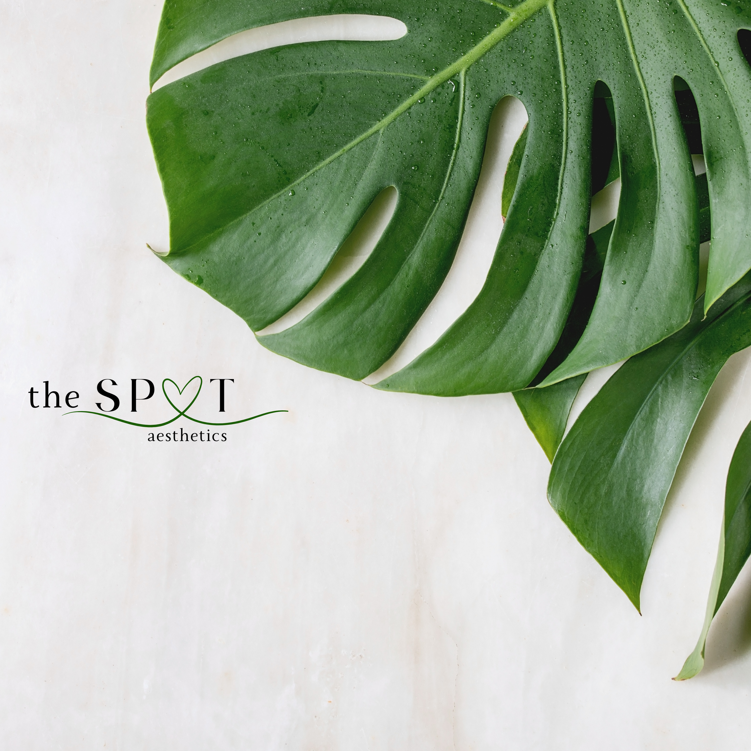 Close-up of green monstera leaf with water droplets on white background.