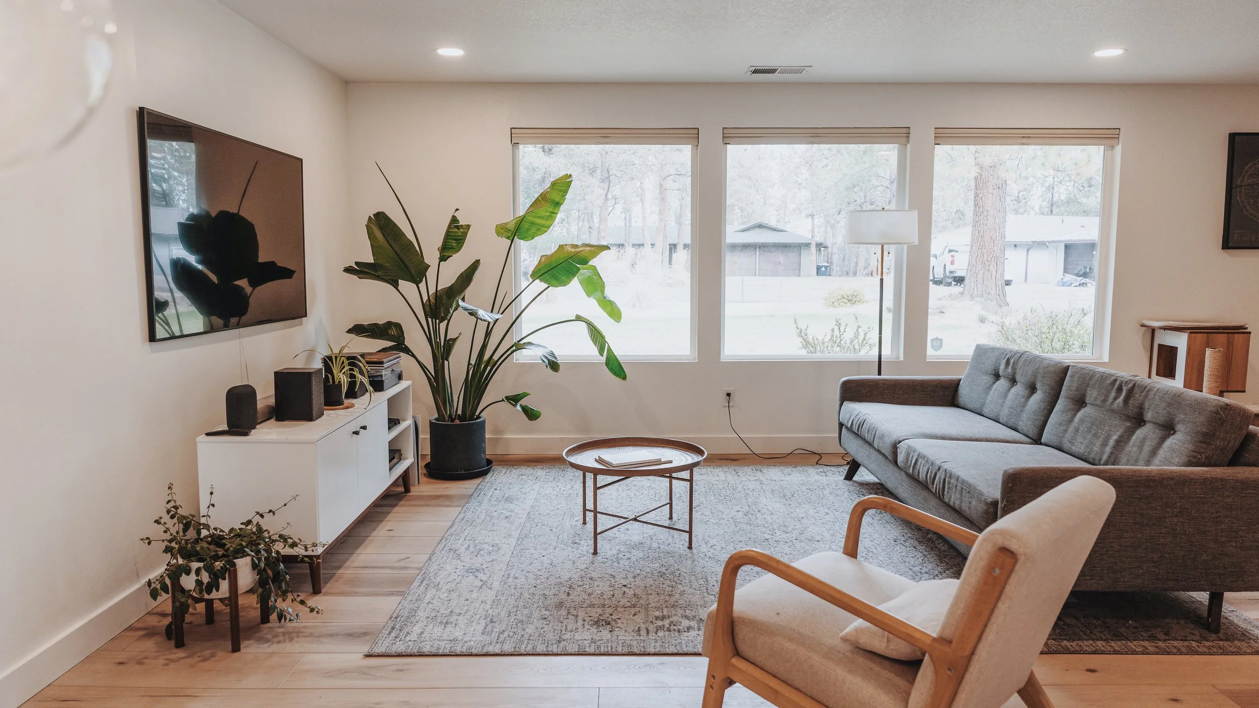 Living room with large windows, a gray sofa, a wooden armchair, a black potted plant, a white TV stand, a wall-mounted TV, and a floor lamp.