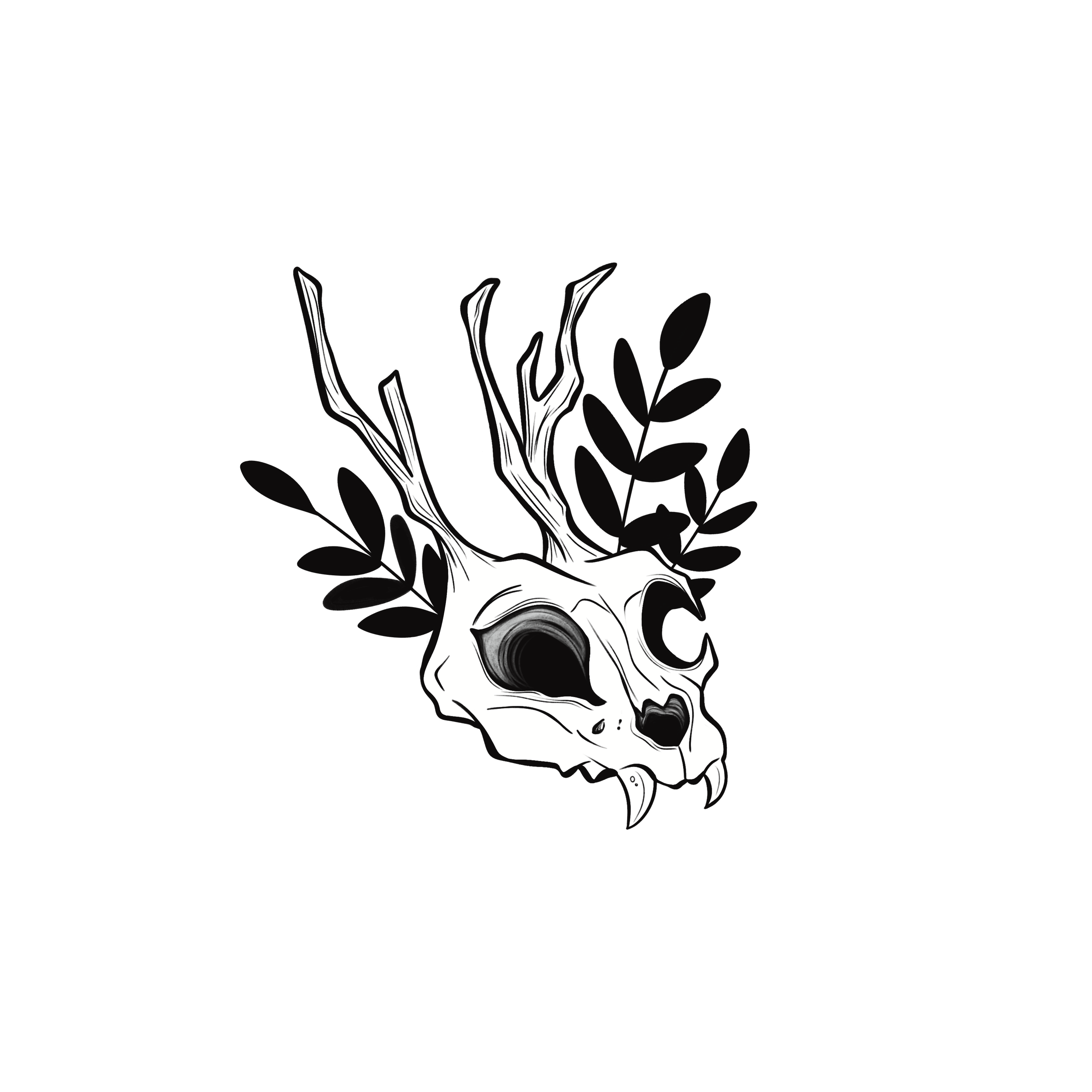 IMG_1626.PNG