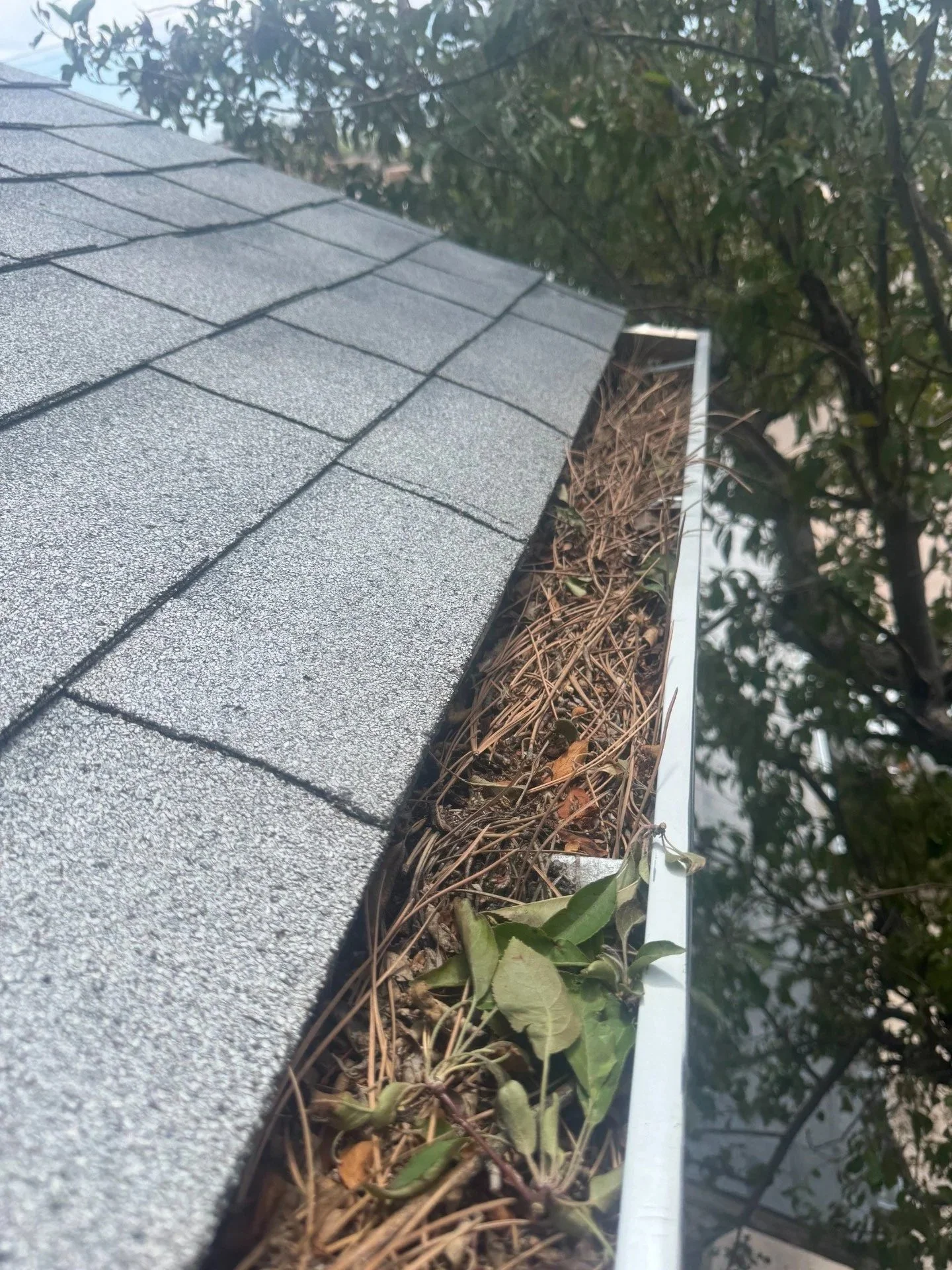 Cheyenne, WY's leading gutter cleaning experts, before-cleaning gutter view
