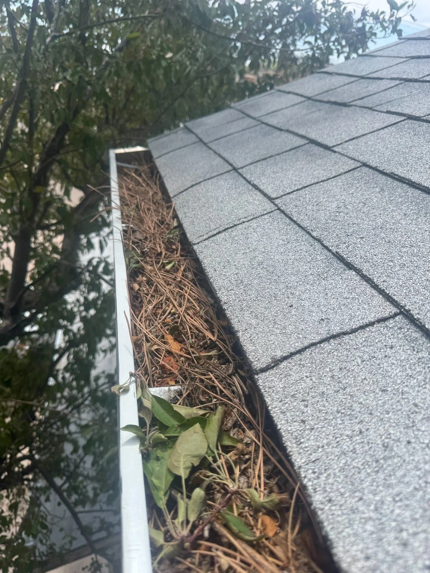 Cheyenne, WY home roof and gutter exterior view