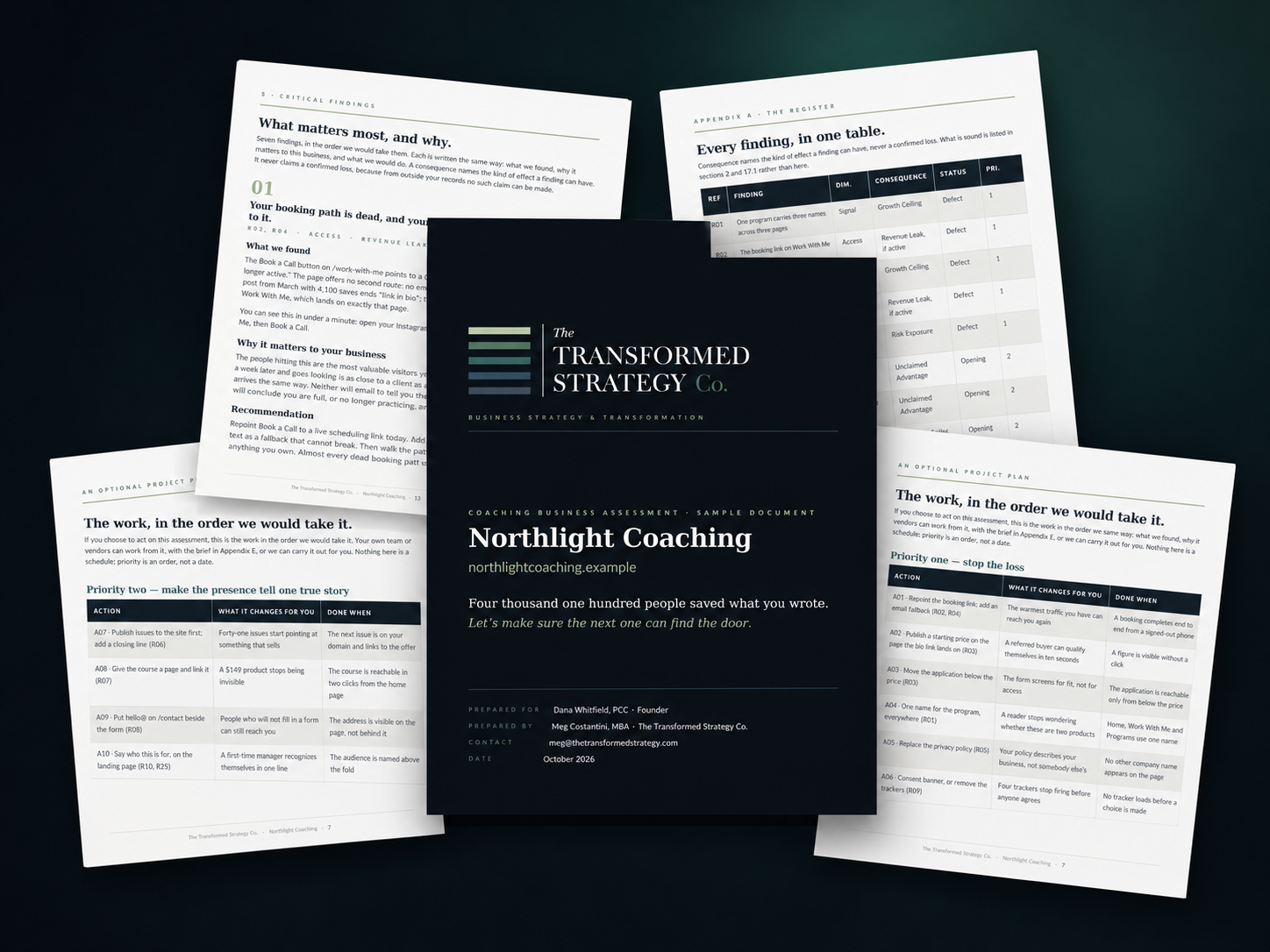 Pages from a sample Coaching Business Assessment, showing findings, the plan and the register