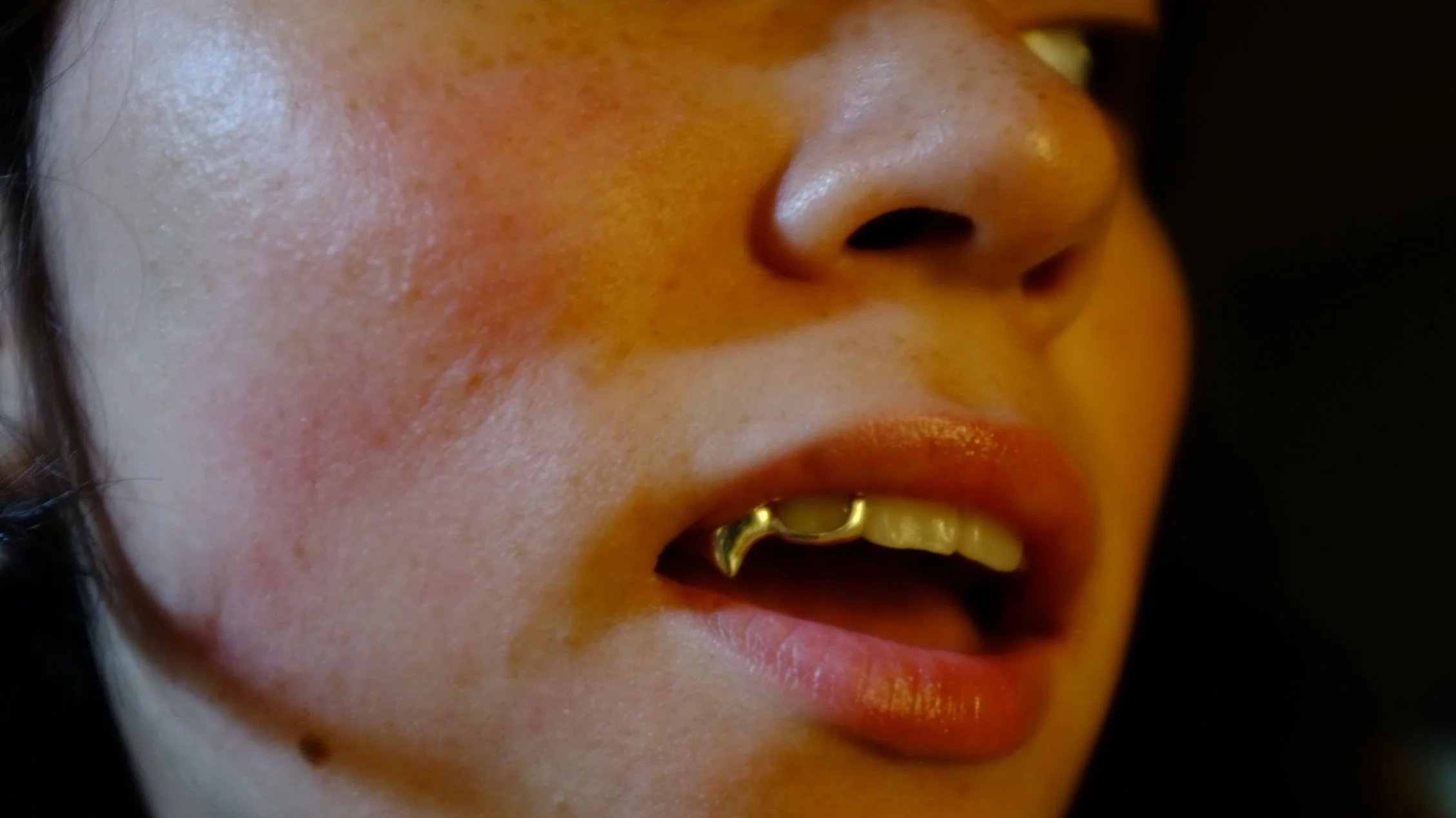 DSCF1008.png
