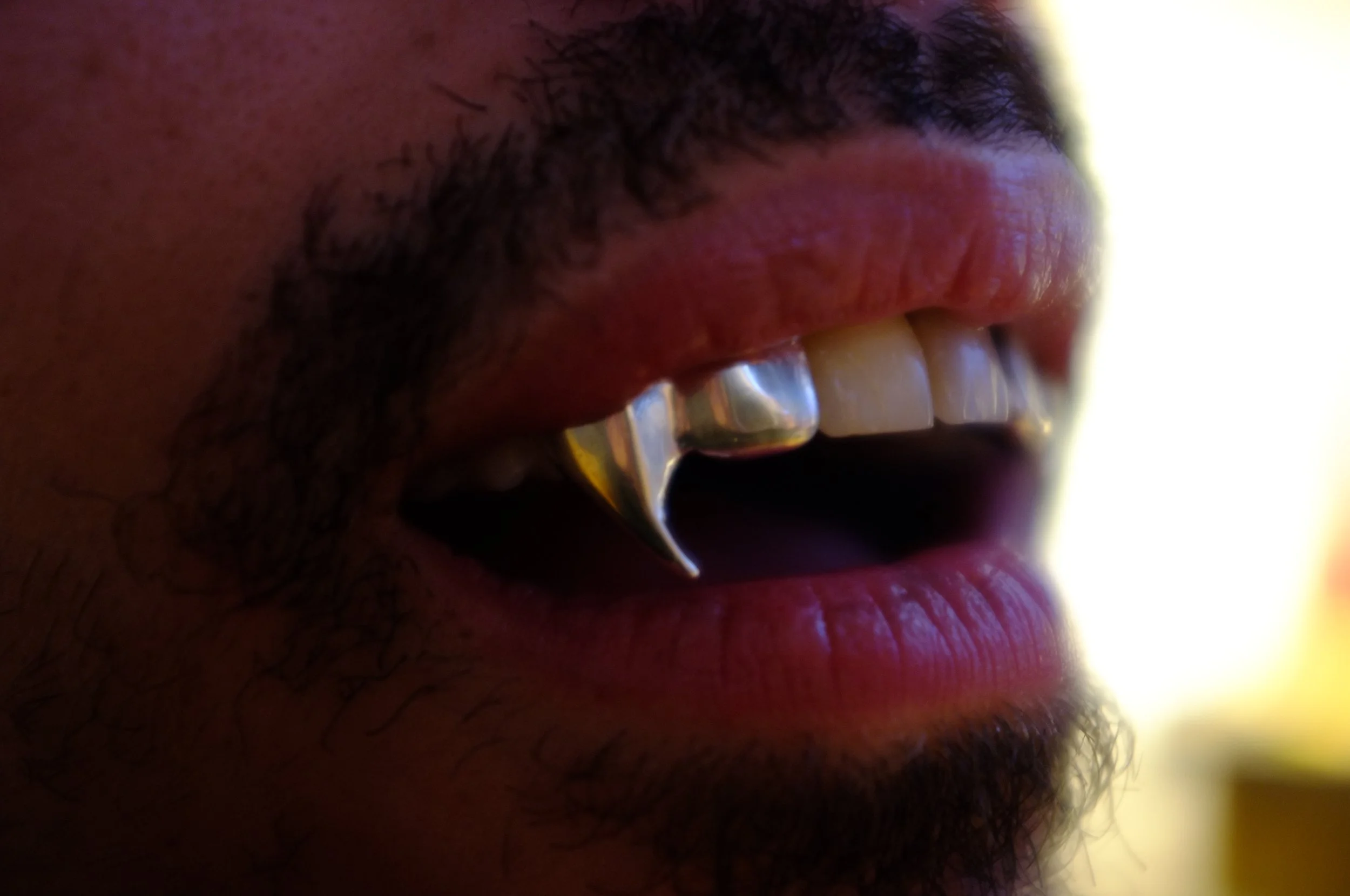DSCF2280.JPG