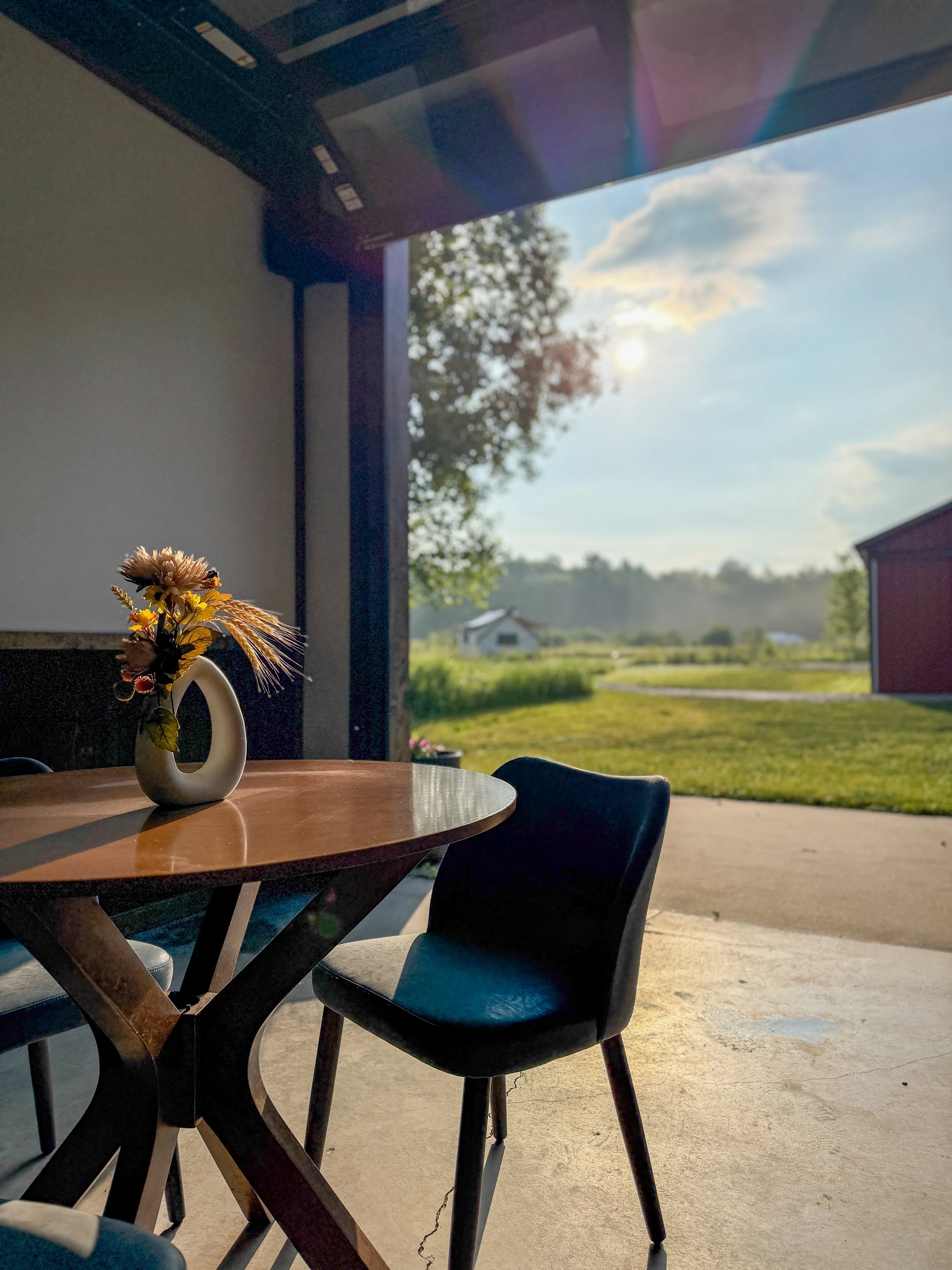 A wooden dining table with a white vase holding yellow, pink, and purple flowers. The table is near a large open door or window showing a sunny outdoor scene with green fields, a tree, a barn, and a bright blue sky with clouds.