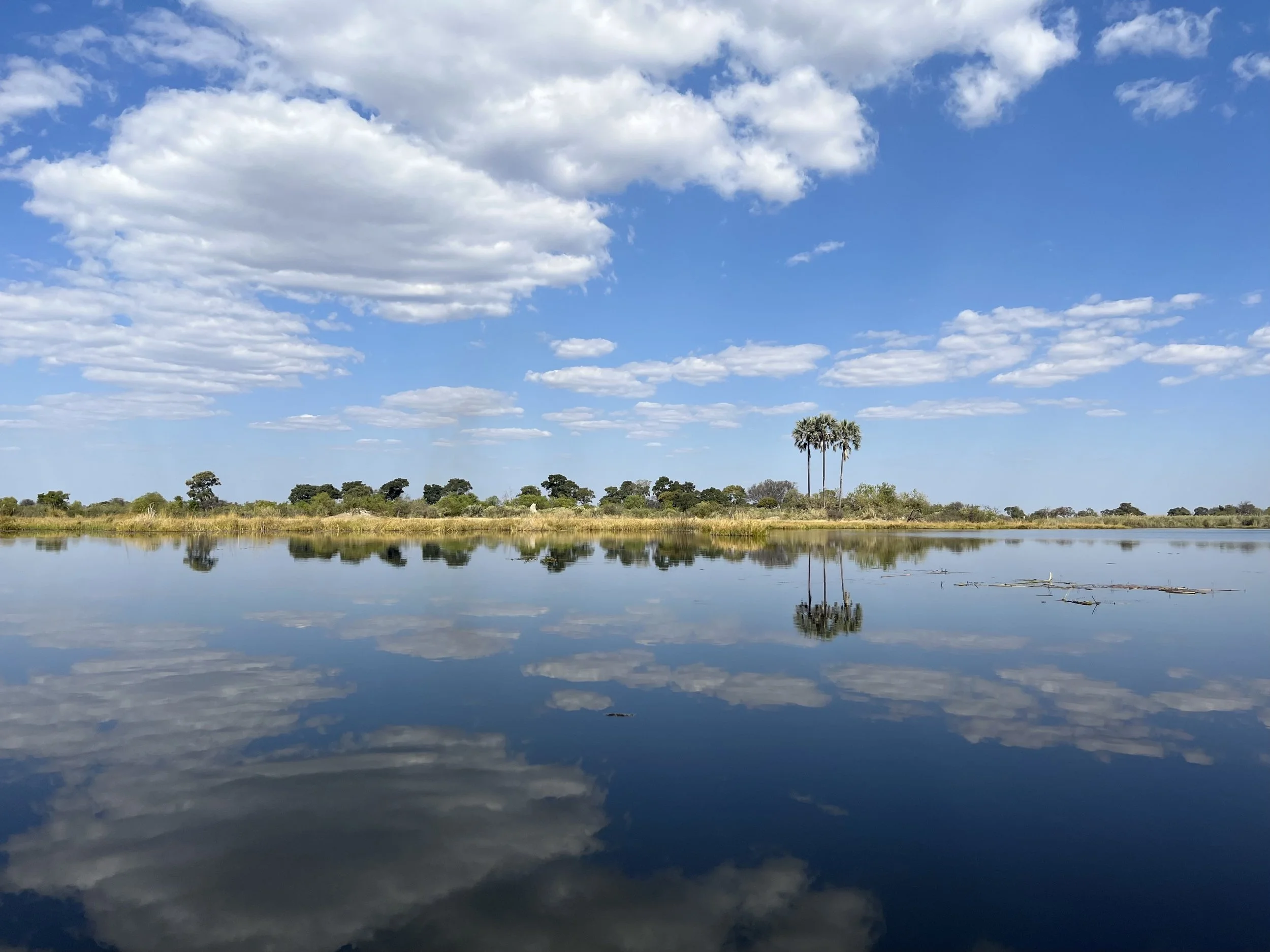 A perfectly calm blue river in the Okavango Delta reflects a bright blue sky and scattered white clouds with small trees on the horizon.