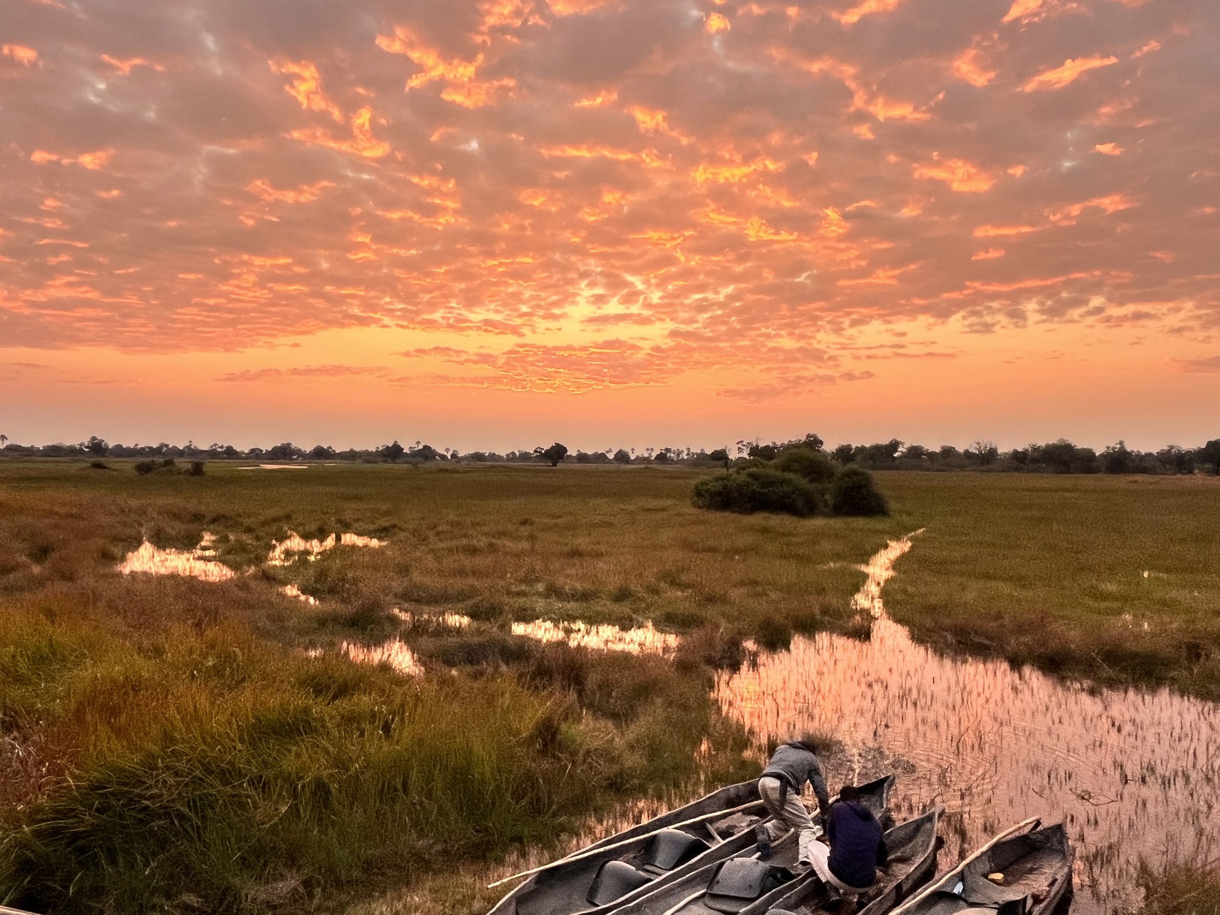 Traditional wooden mokoro boats sit parked on a water channel reflecting a dramatic orange sunset sky in the Okavango Delta.