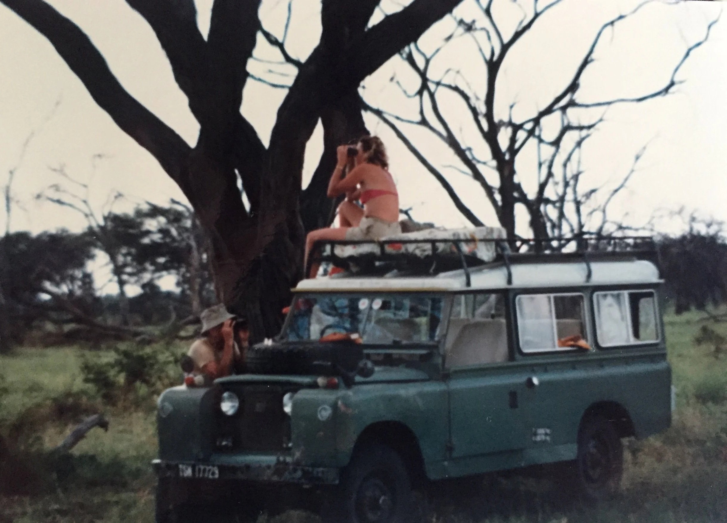 A vintage green Land Rover parked under a large tree in the Okavango Delta during the early 1980s, with a woman sitting on the roof rack looking through binoculars while a man looks out from the front window.