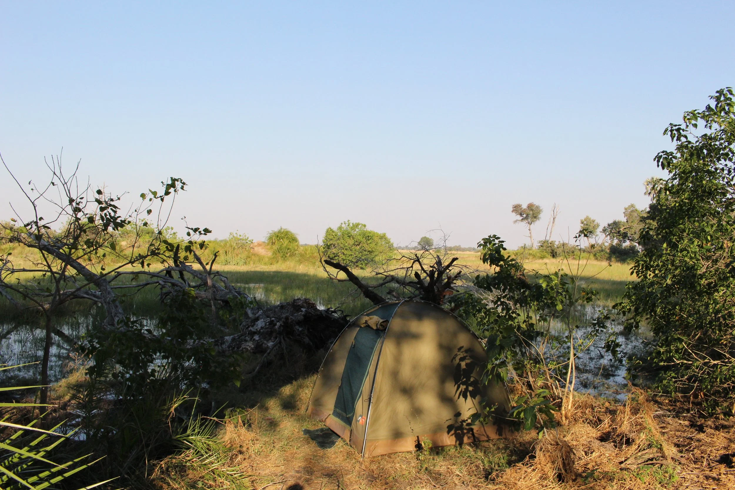 A mobile safari tent sits next to a water channel surrounded by dense trees in the Okavango Delta.
