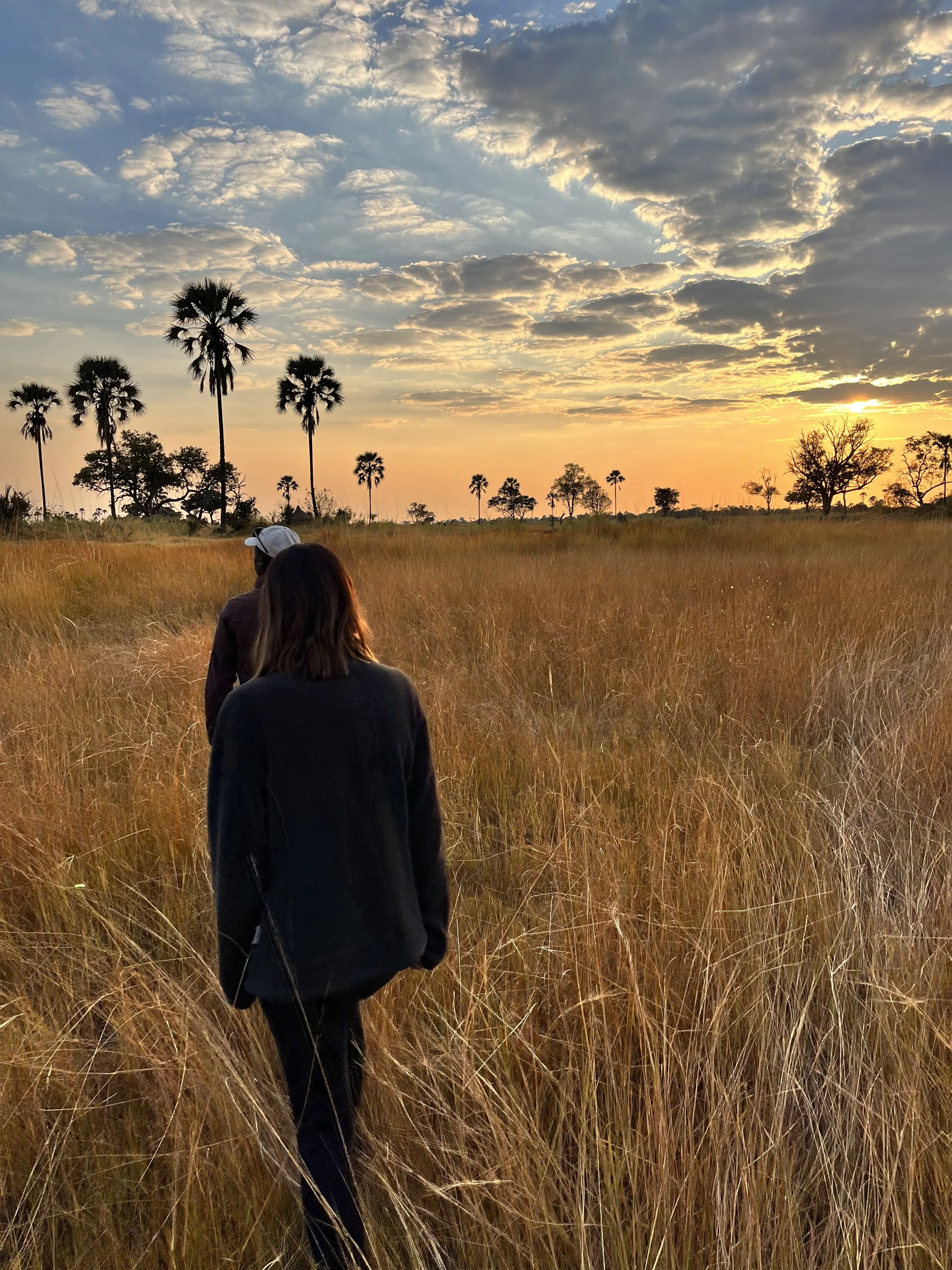 The silhouette of a guide and guest looking out across a wide grassland at sunset with palm trees on the horizon in the Okavango Delta.