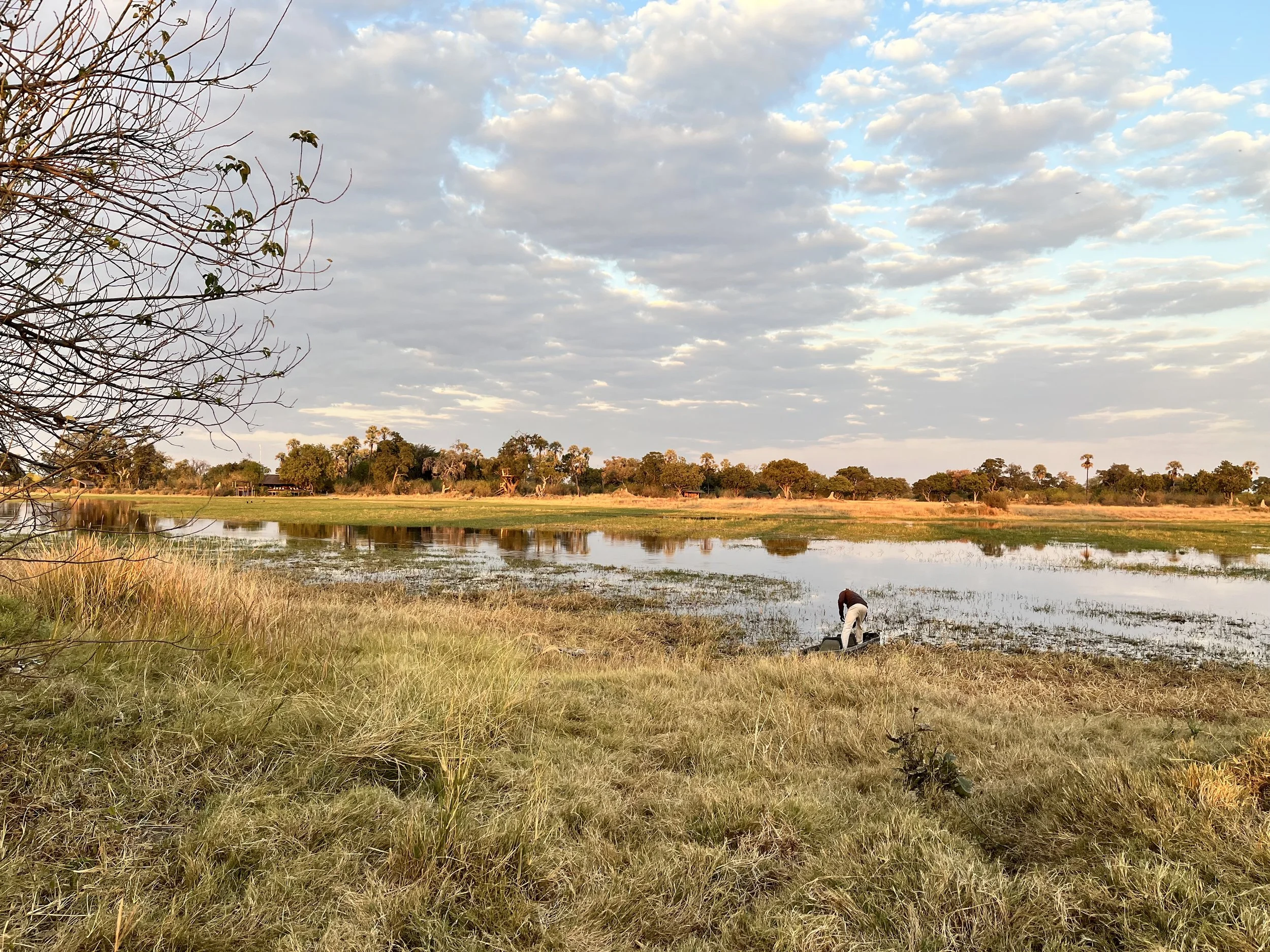 A wide water channel cuts through a grassy marshland in the Okavango Delta under a bright, partly cloudy sky, with a guide standing on the grassy bank next to a mokoro.