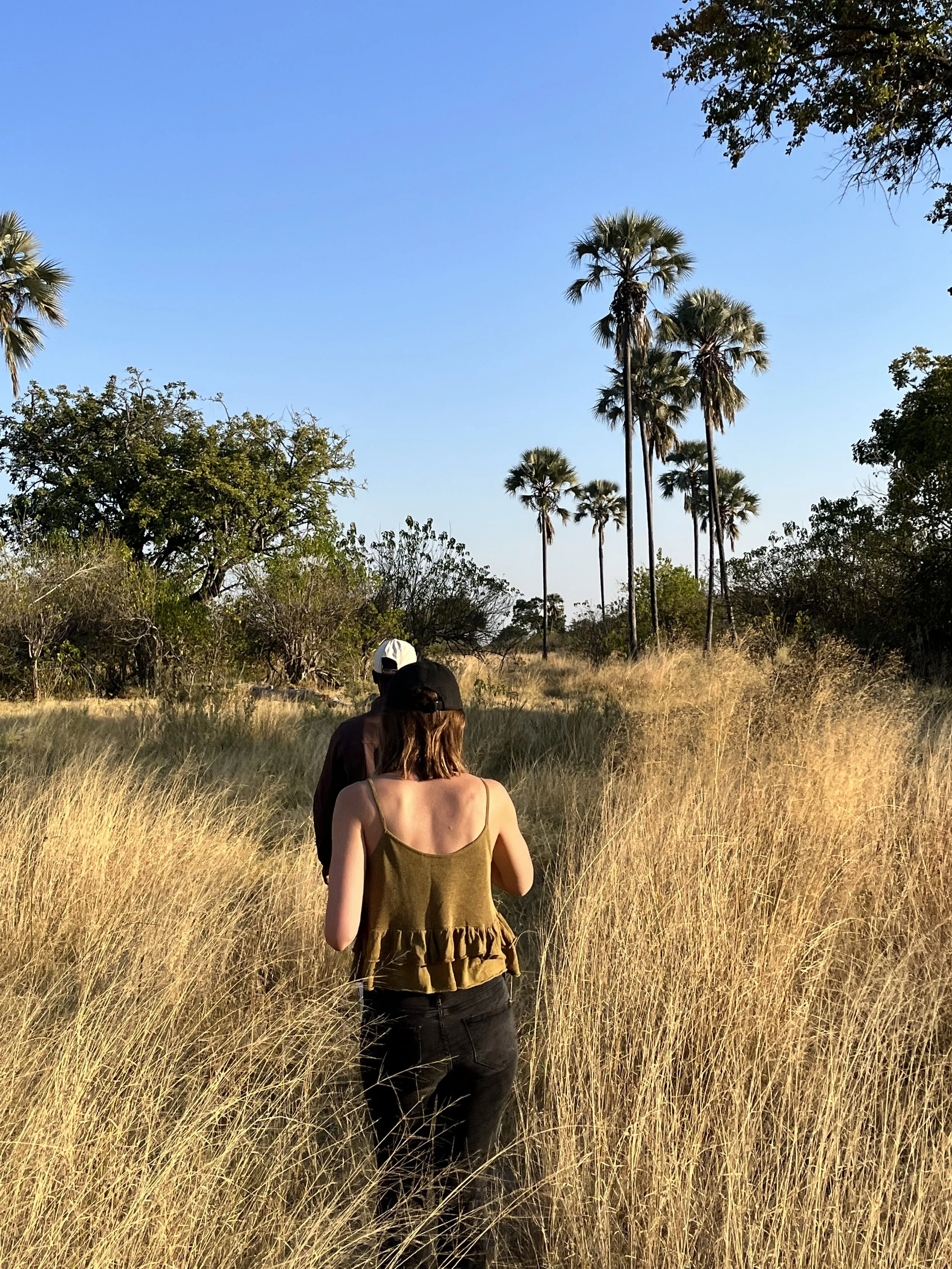 A guide and guest walk through tall, golden grass in the Okavango Delta, toward a cluster of palm trees in the distance.
