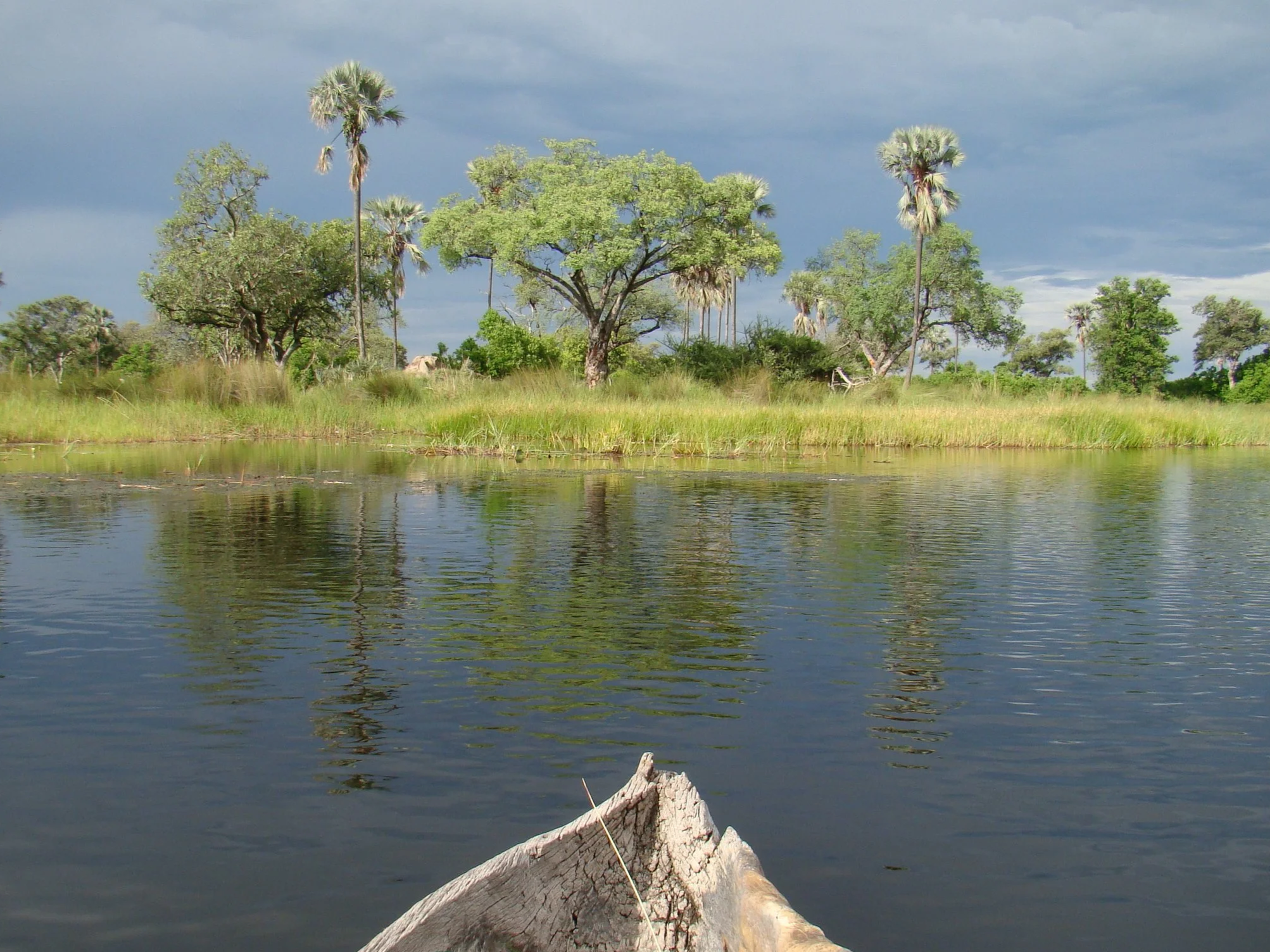 A traditional wood mokoro crossing a main channel in the Okavango Delta with moody clouds blending greys and greens in the landscape