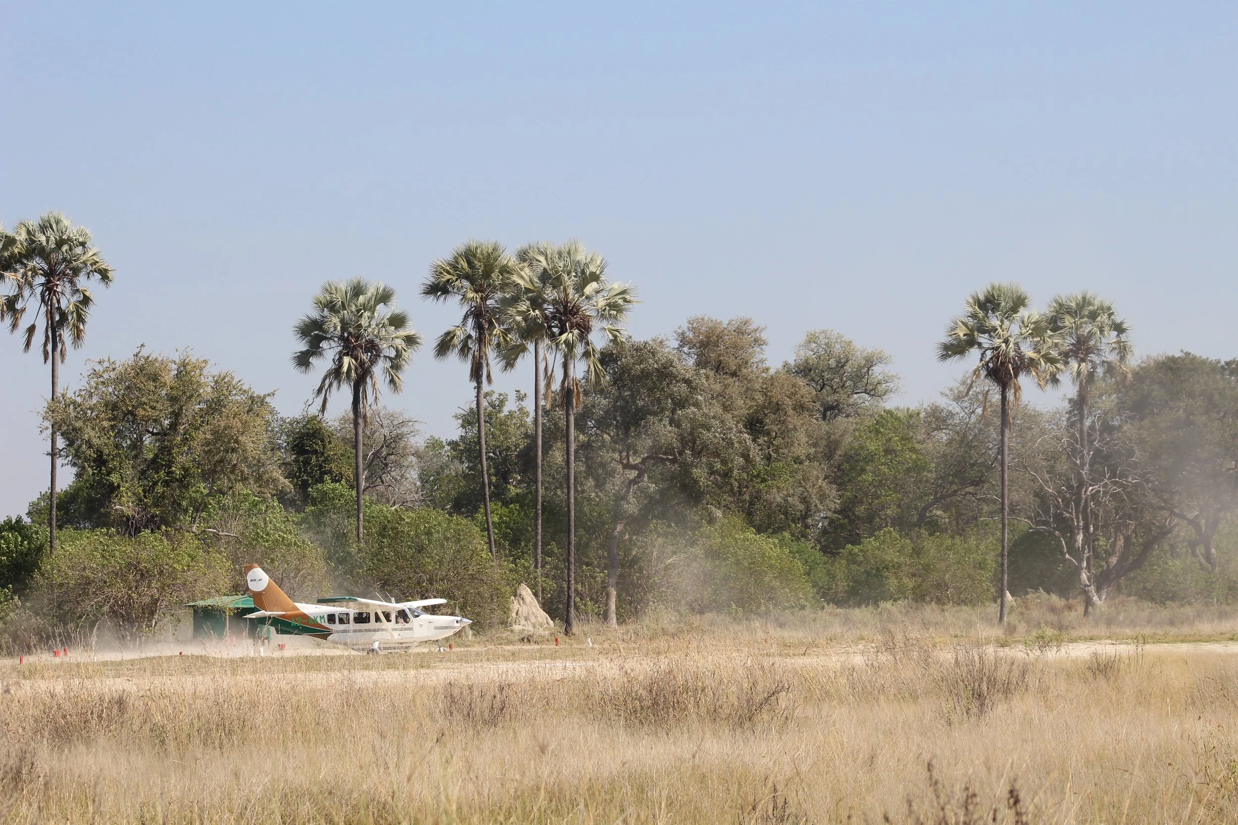 A wide scenic view of a safari lodge airstrip with an airplane and palm trees under a blue sky in the Okavango Delta.