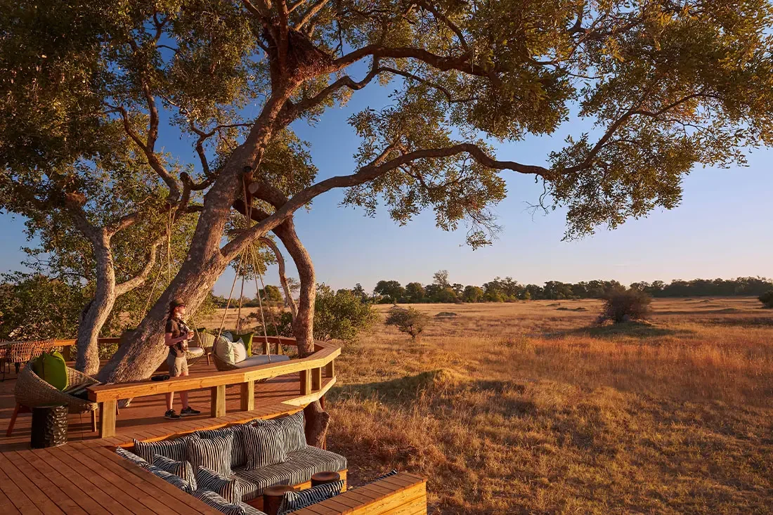 An elevated wooden viewing platform built into the branches of a large tree, overlooking a vast, sunlit grassy plain at golden hour.