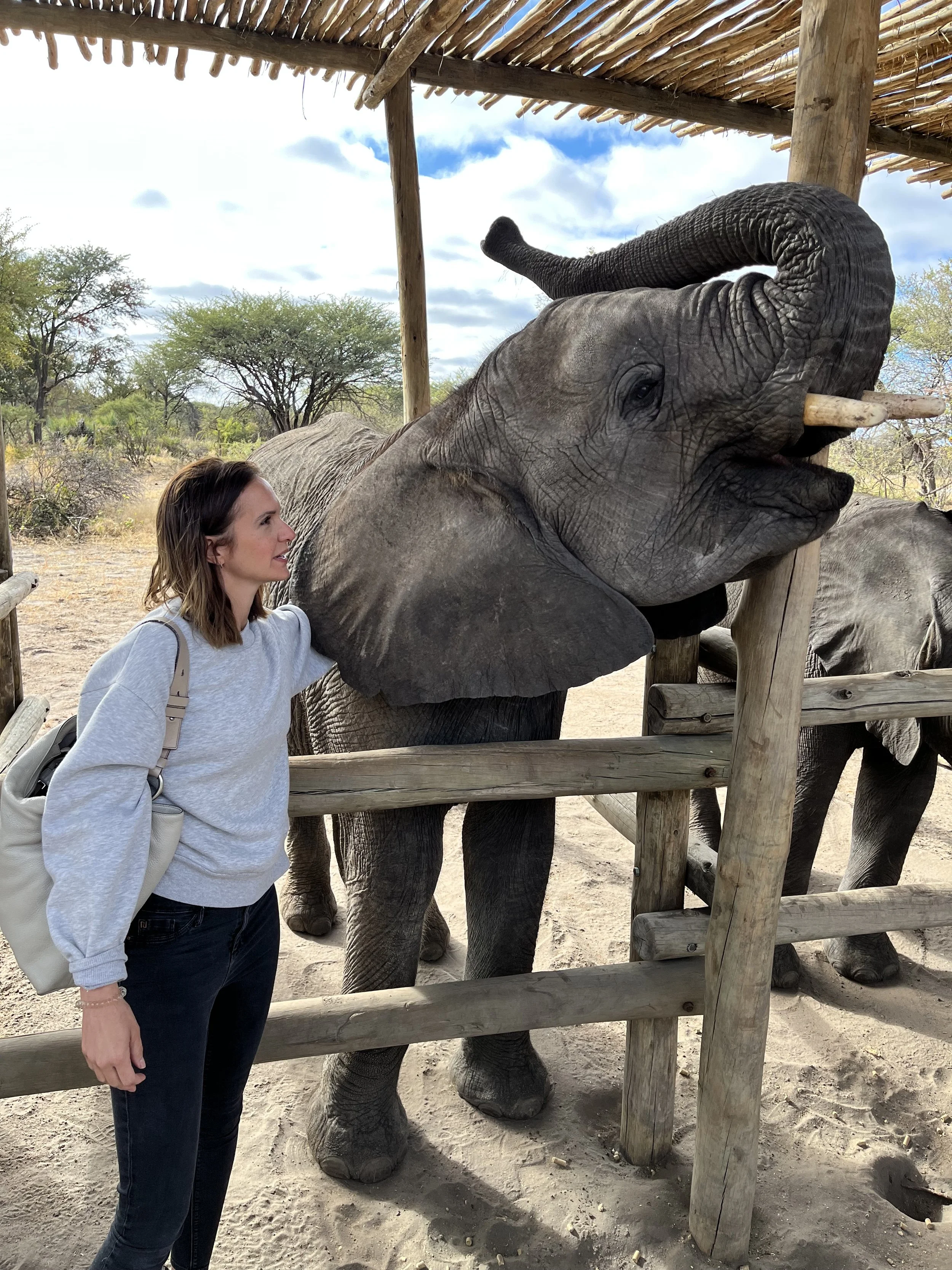 A woman stands next to a wooden fence smiling up at a young elephant as it lifts its trunk.