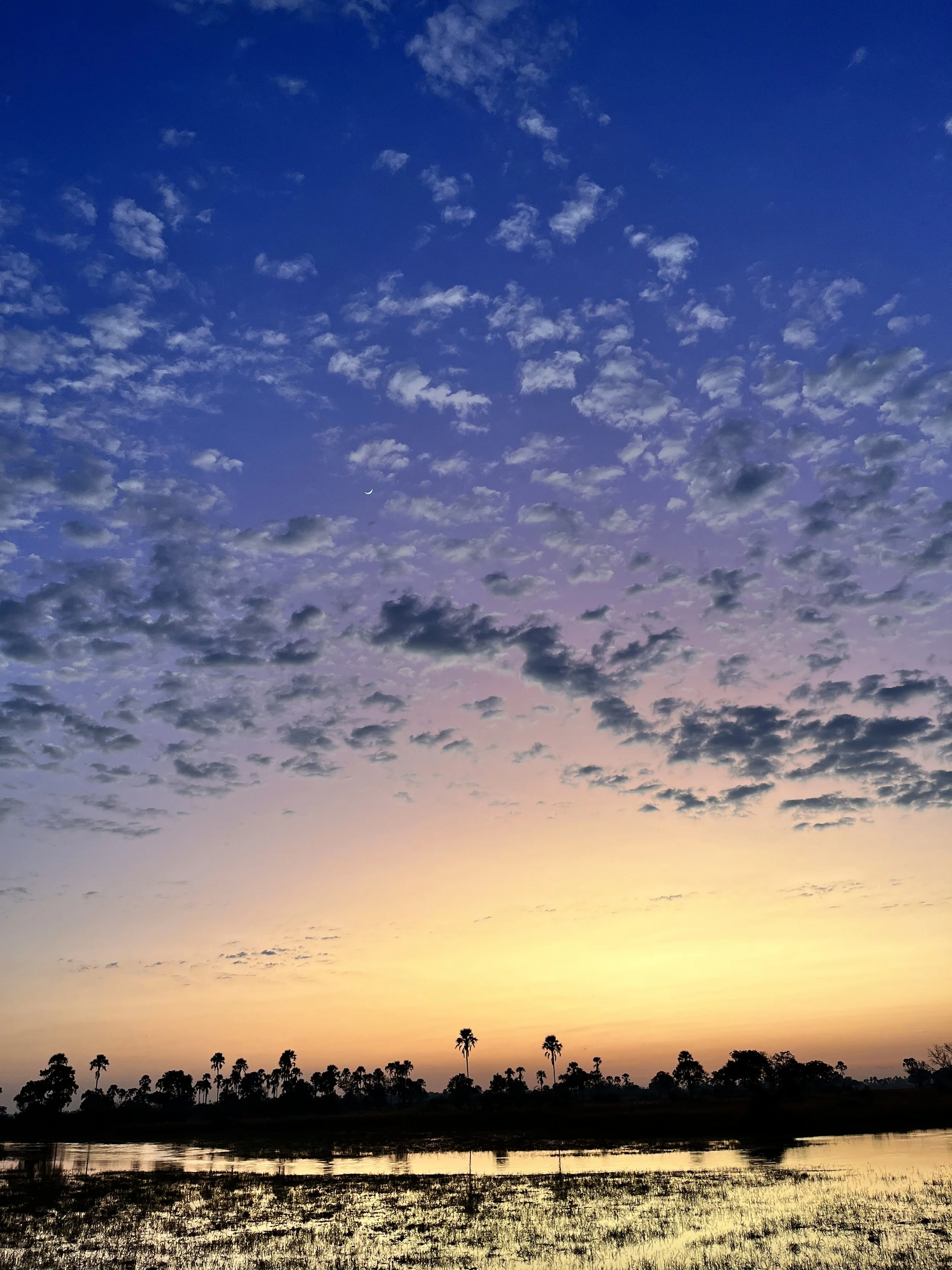 A wide scenic view of a purple and orange sunset sky filled with scattered clouds over a quiet landscape in the Okavango Delta.