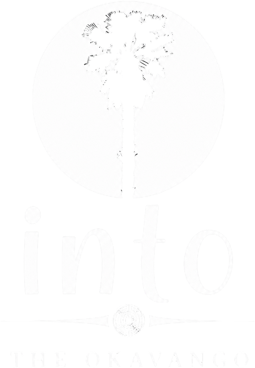 Full logo for Into the Okavango, featuring a mokolwane palm tree silhouetted against a setting sun alongside the company name text.