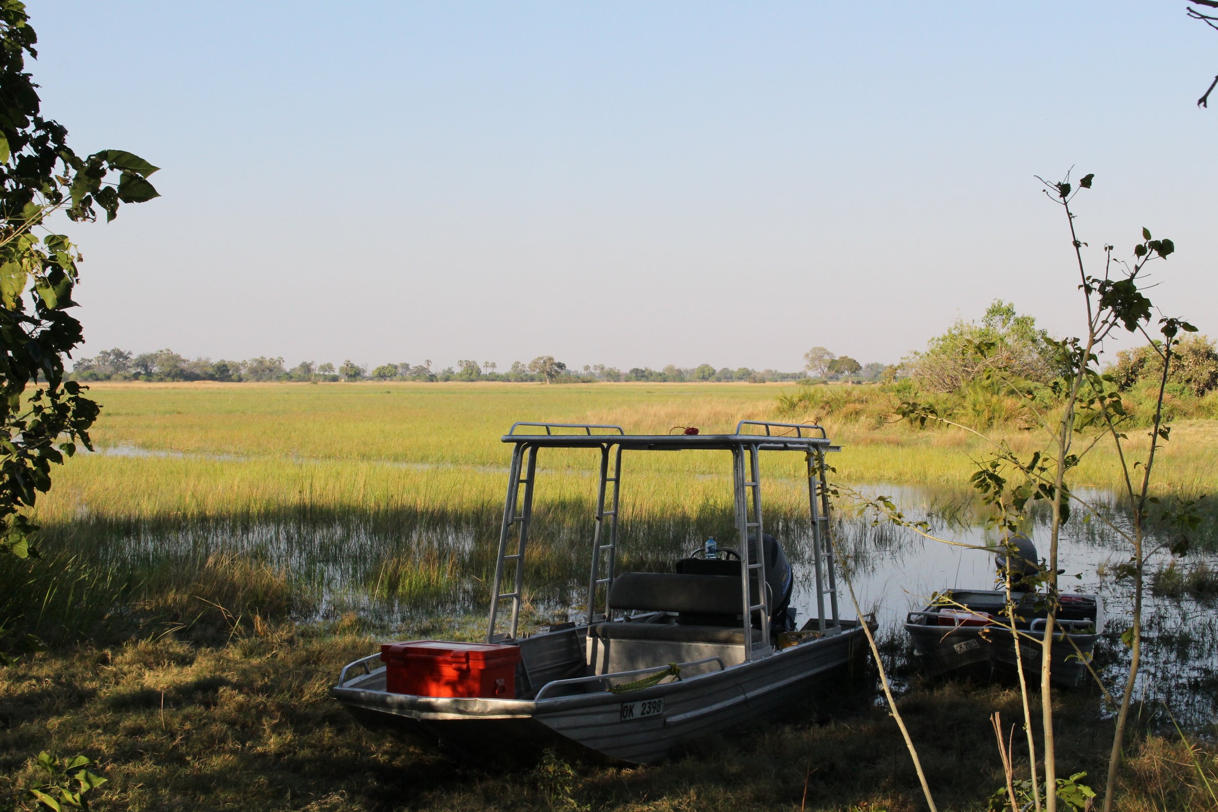 A safari boat sits parked at the edge of a wide, open wetland marsh at dusk in the Okavango Delta.