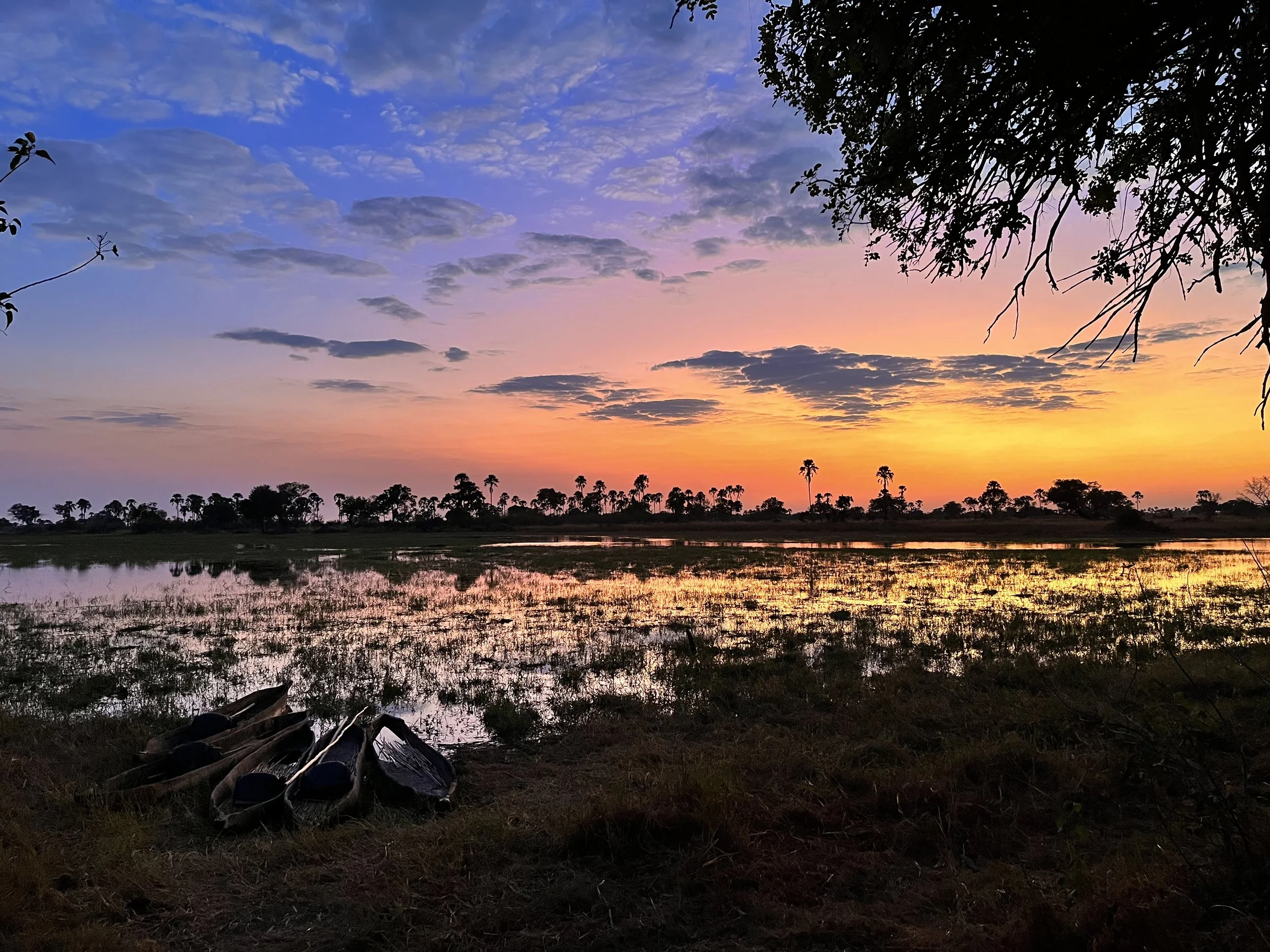 A wide scenic view of a vibrant orange and purple sunset over a wetland marsh in the Okavango Delta, with three traditional mokoro canoes pulled onto the grassy bank in the foreground.